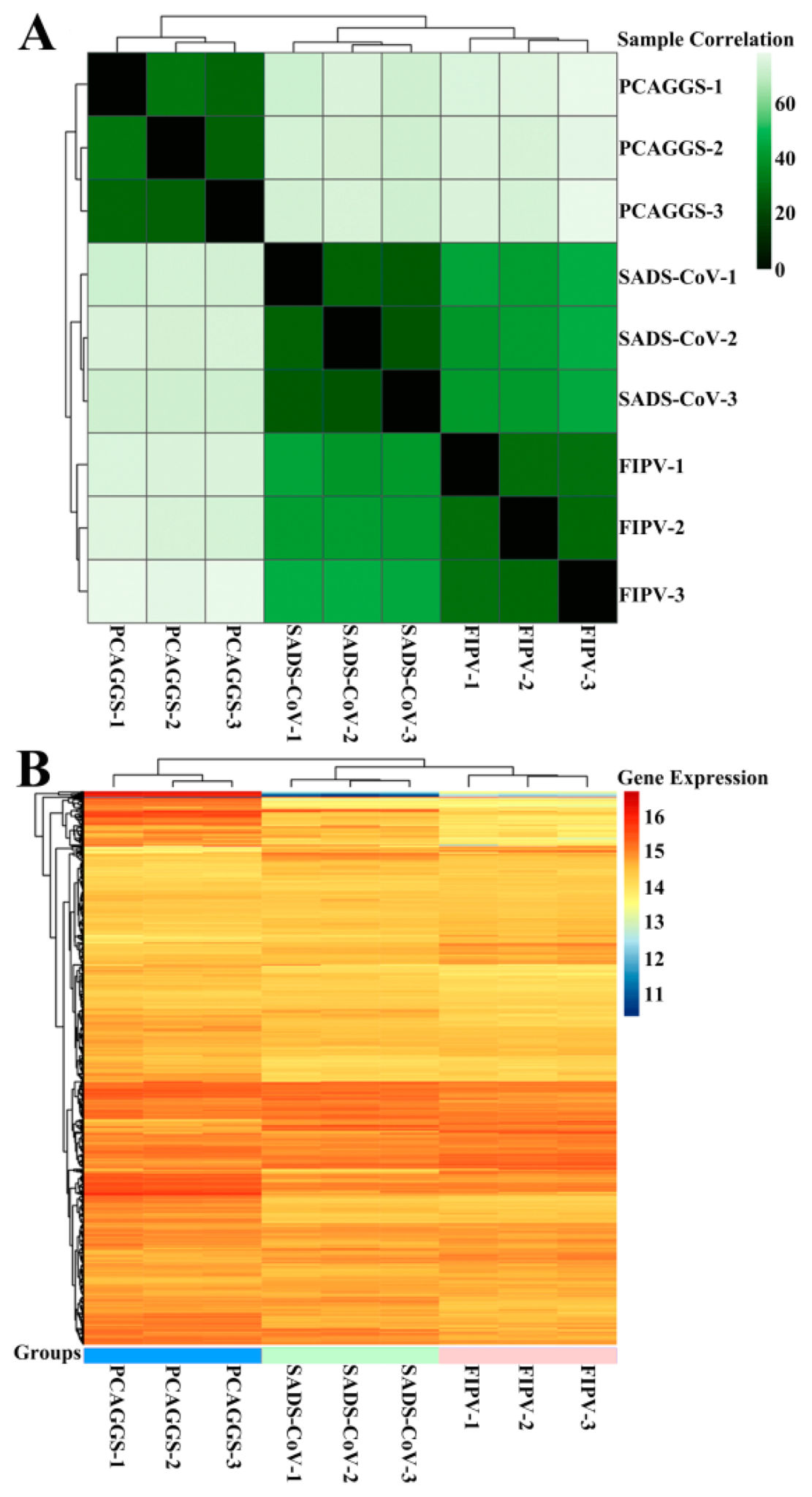 Viruses 12 00812 g004 Viruses 12 00812 g004