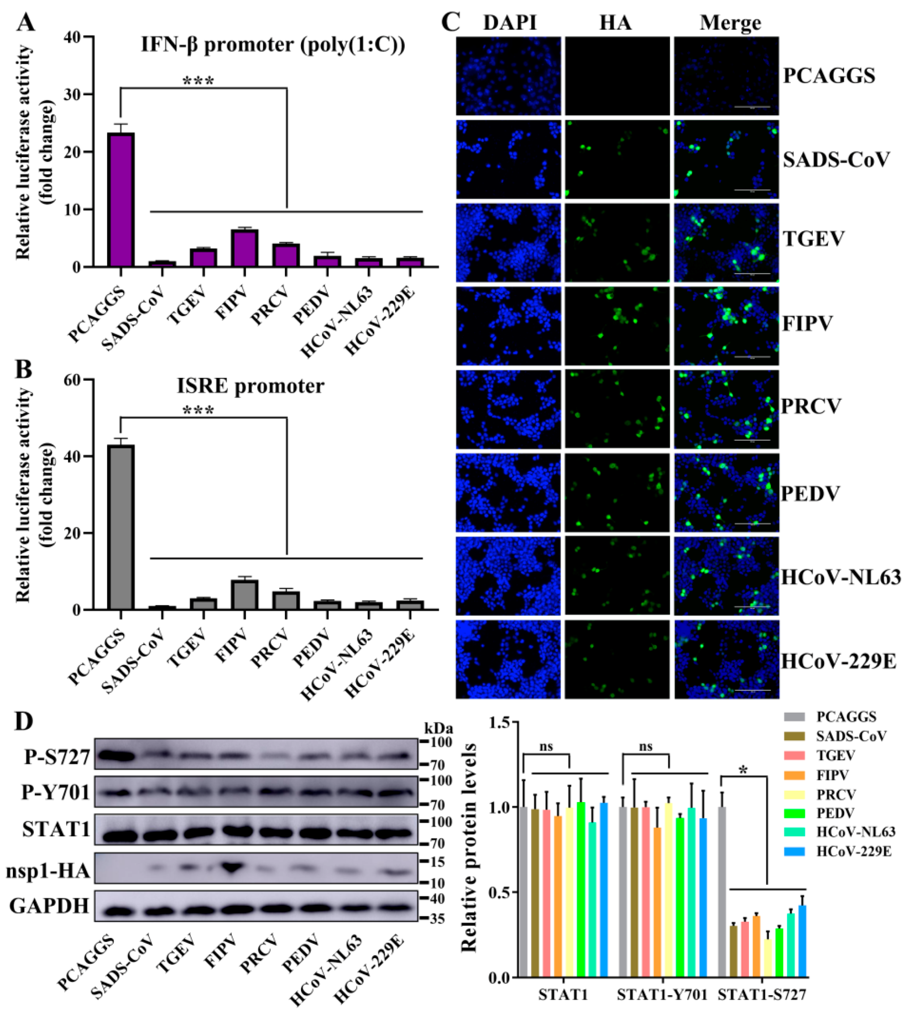Viruses 12 00812 g007 Viruses 12 00812 g007