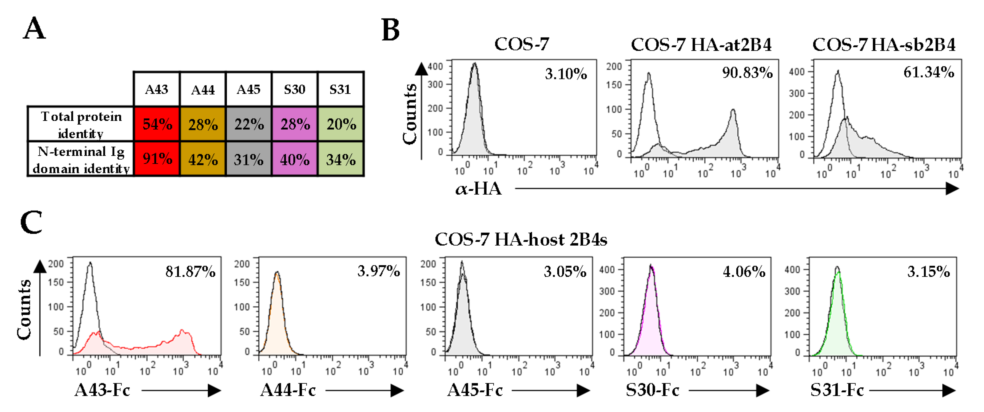 Viruses 12 00813 g004