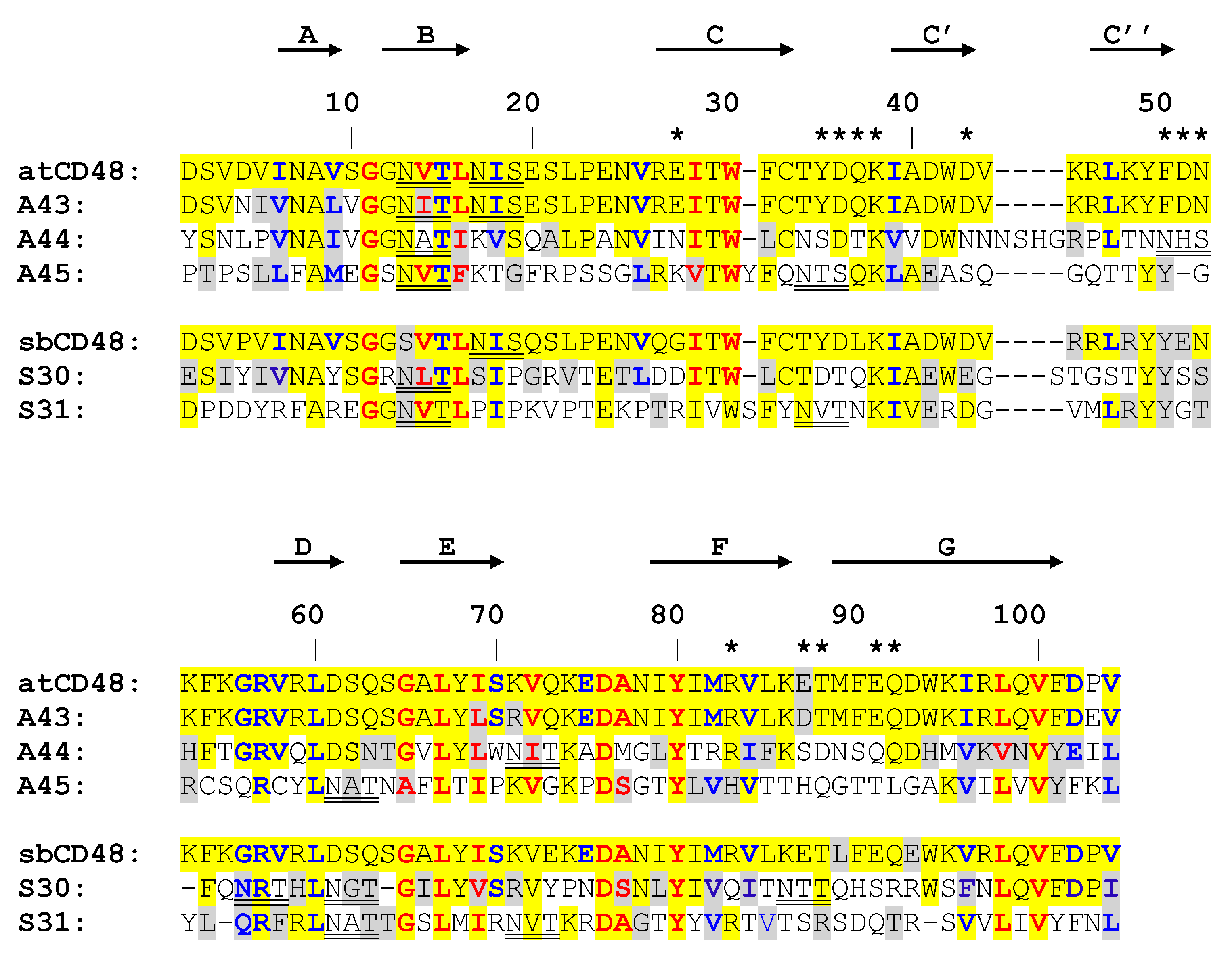 Viruses 12 00813 g005