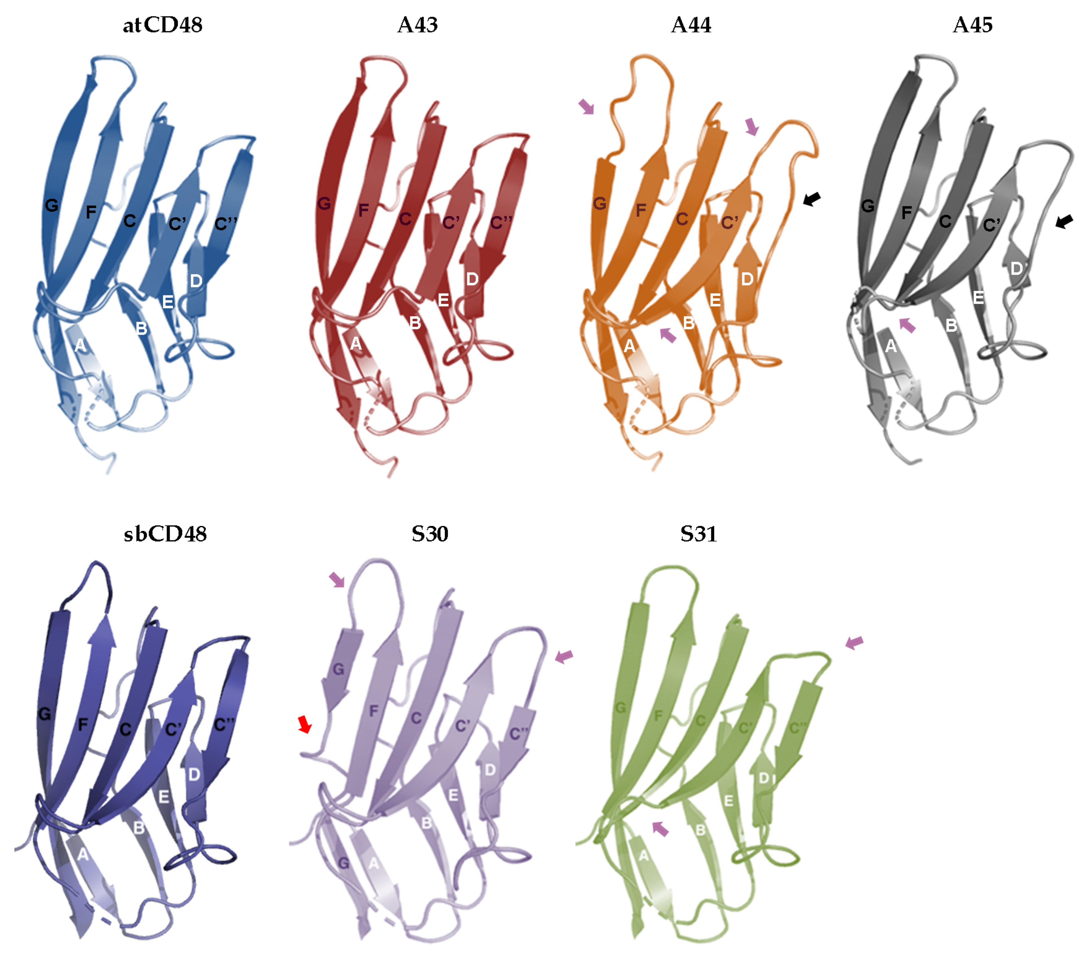 Viruses 12 00813 g006
