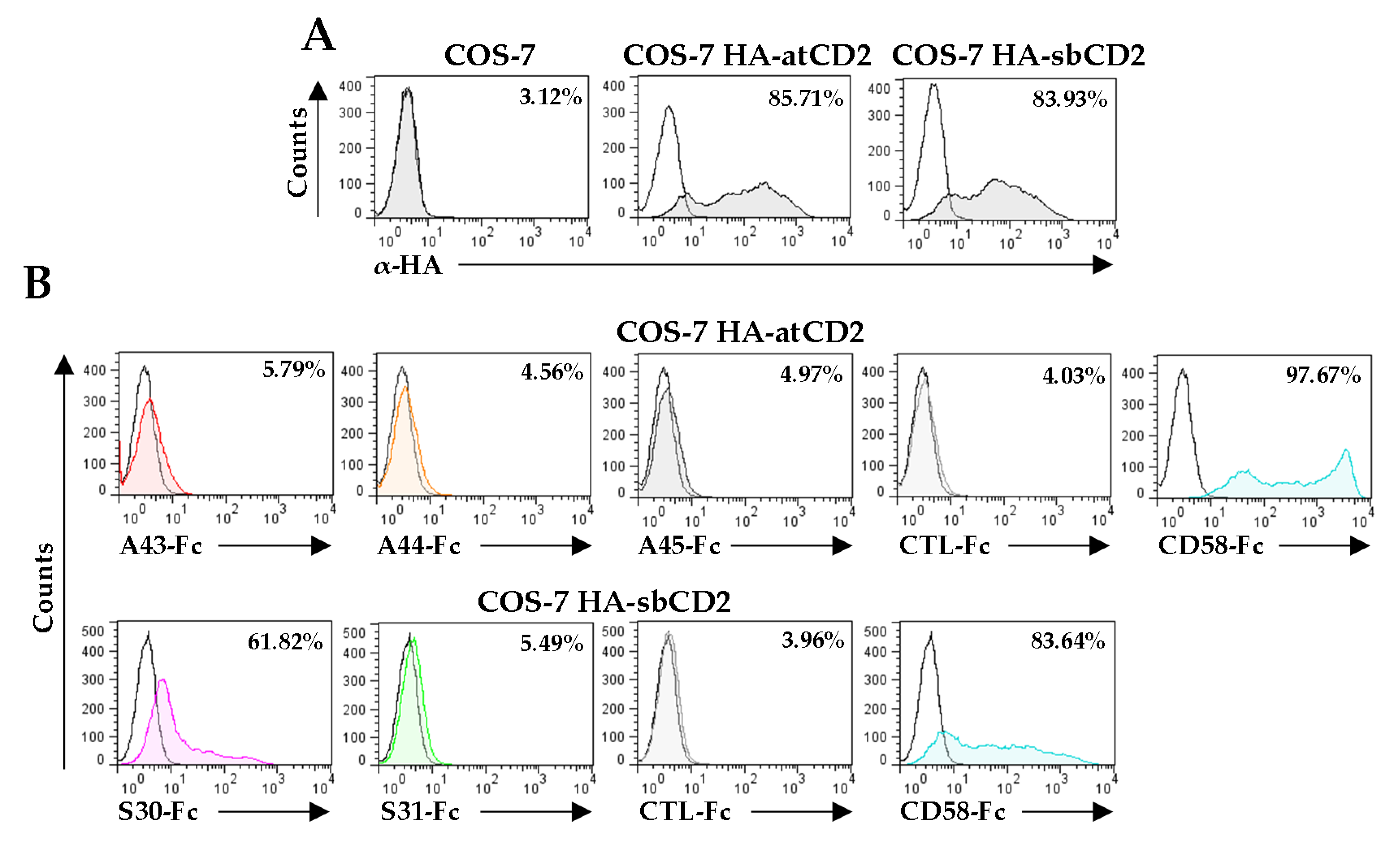 Viruses 12 00813 g007