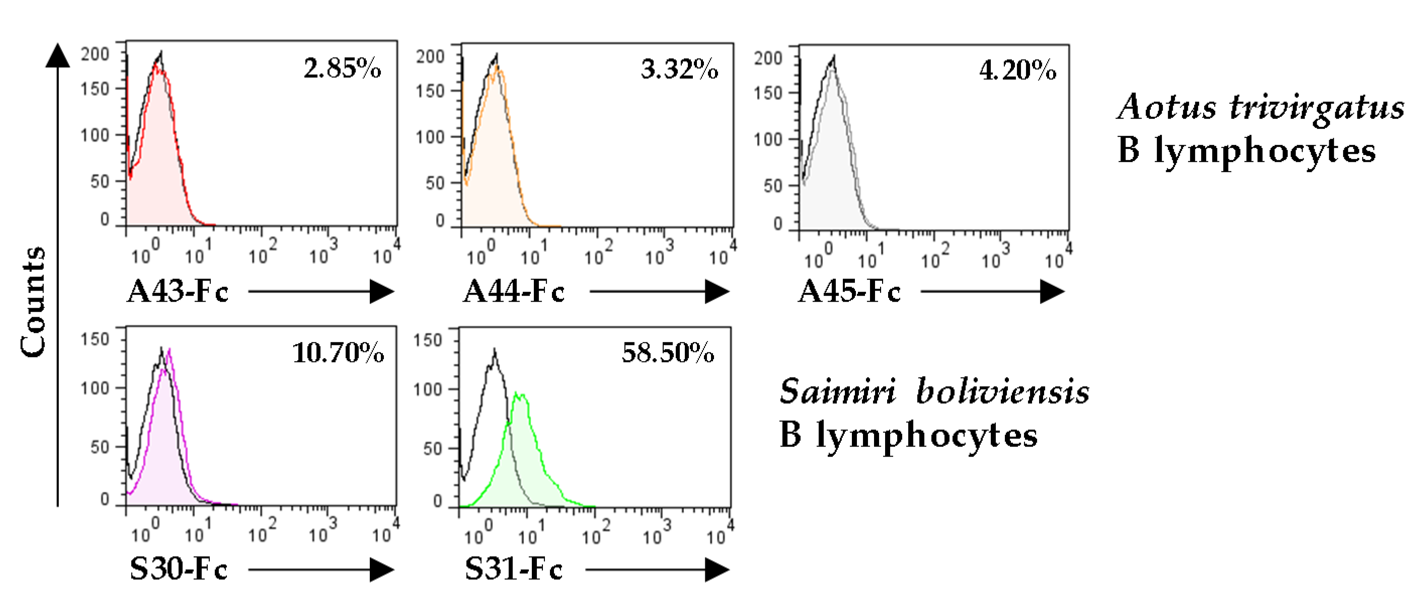 Viruses 12 00813 g008