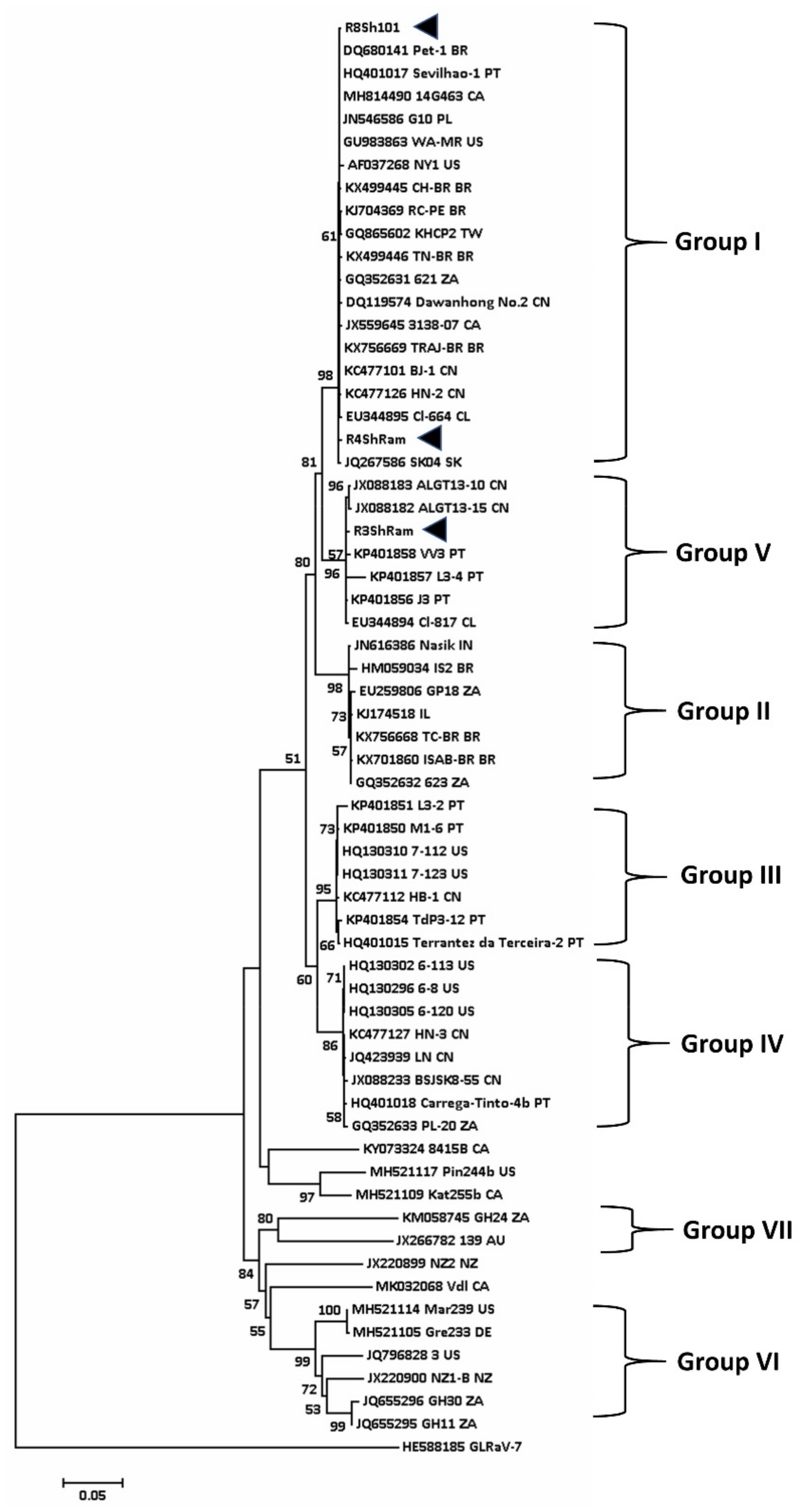 Viruses 12 00818 g004