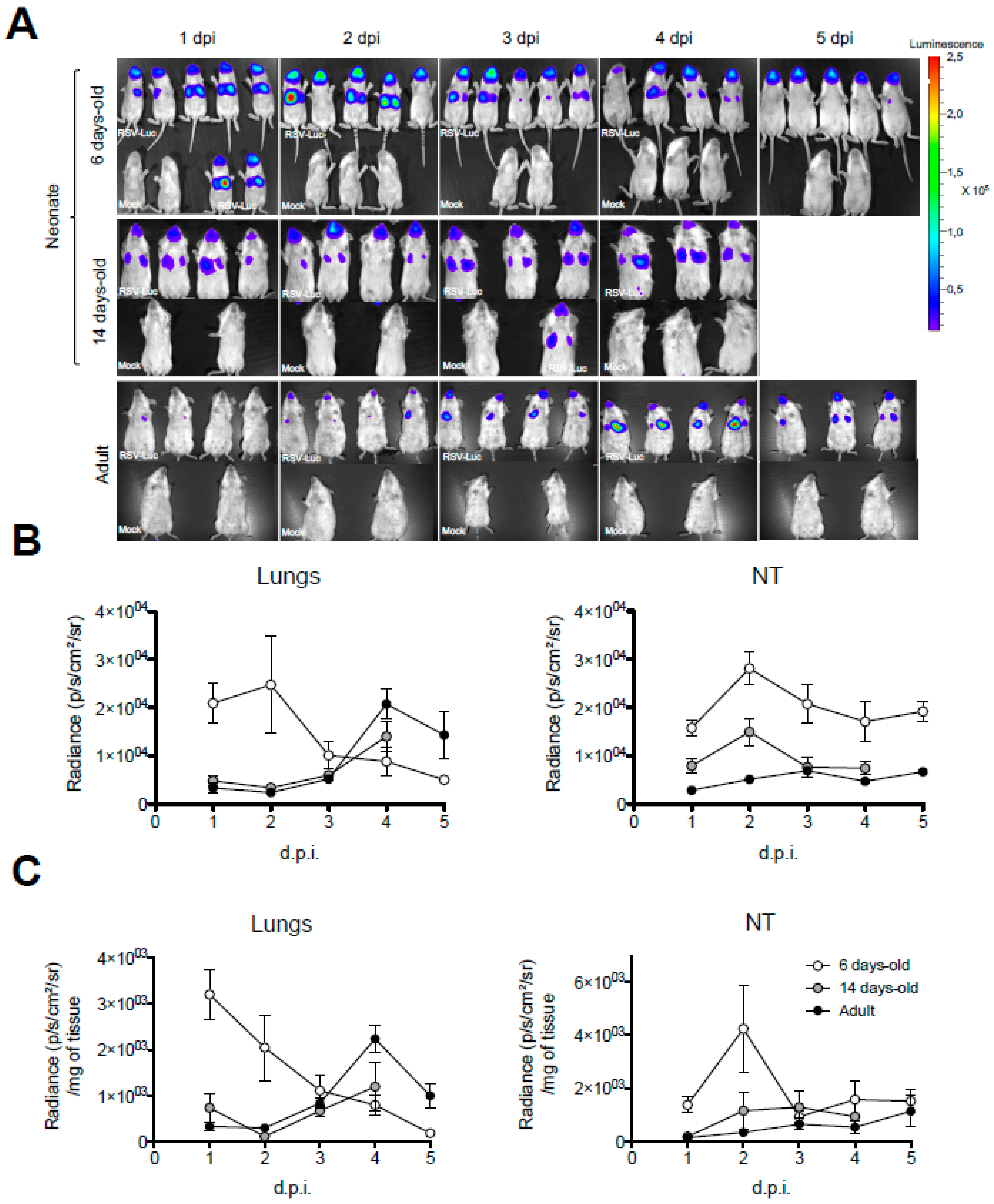 Viruses 12 00822 g002