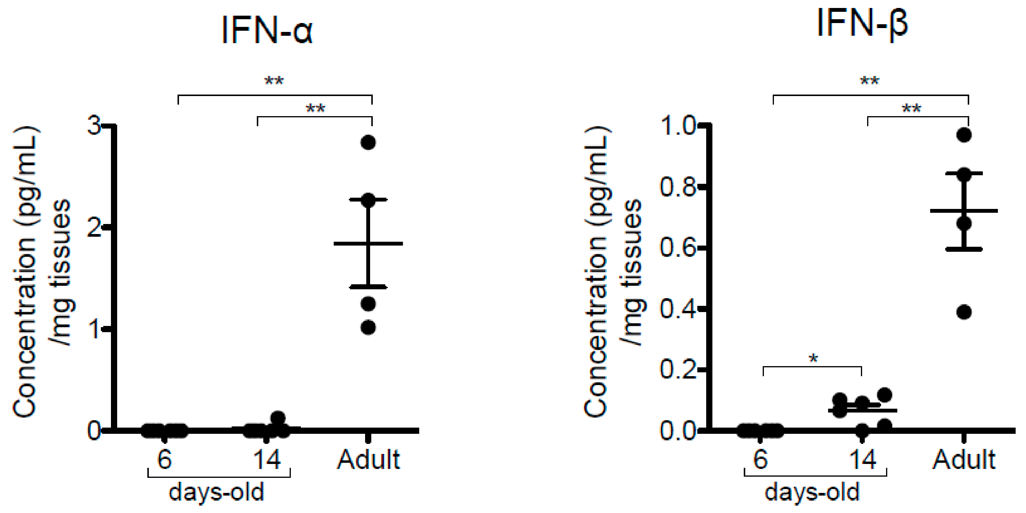 Viruses 12 00822 g003