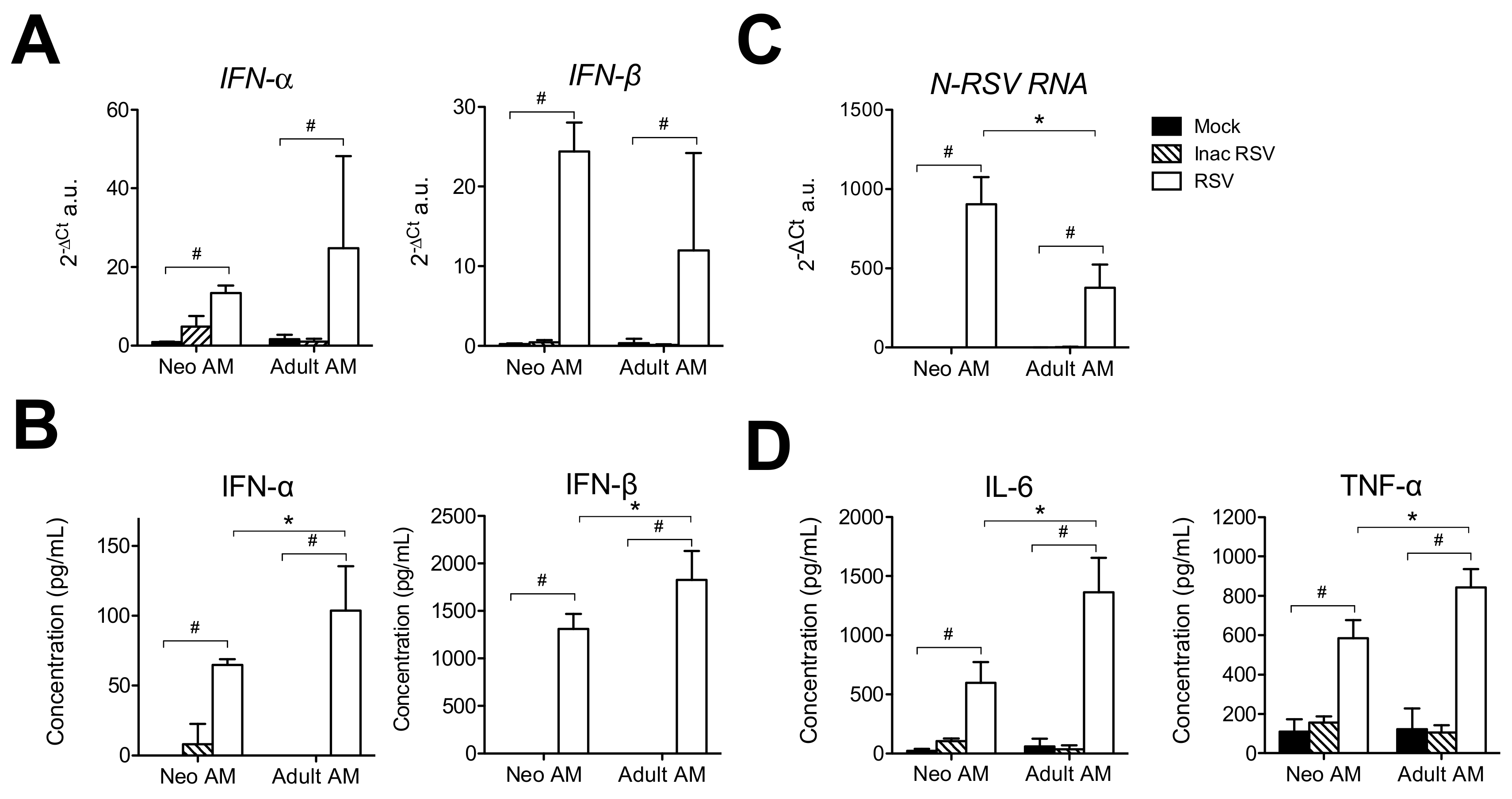 Viruses 12 00822 g004