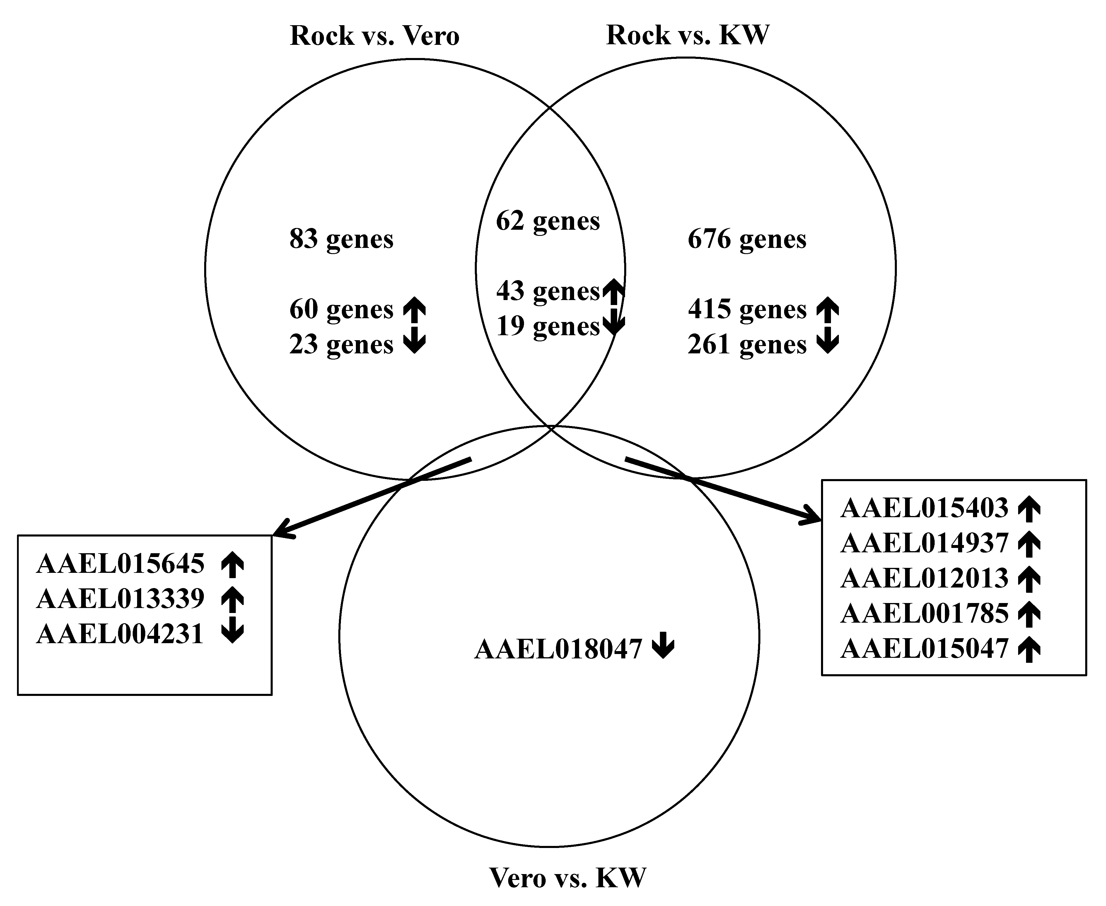 Viruses 12 00823 g001 Viruses 12 00823 g001