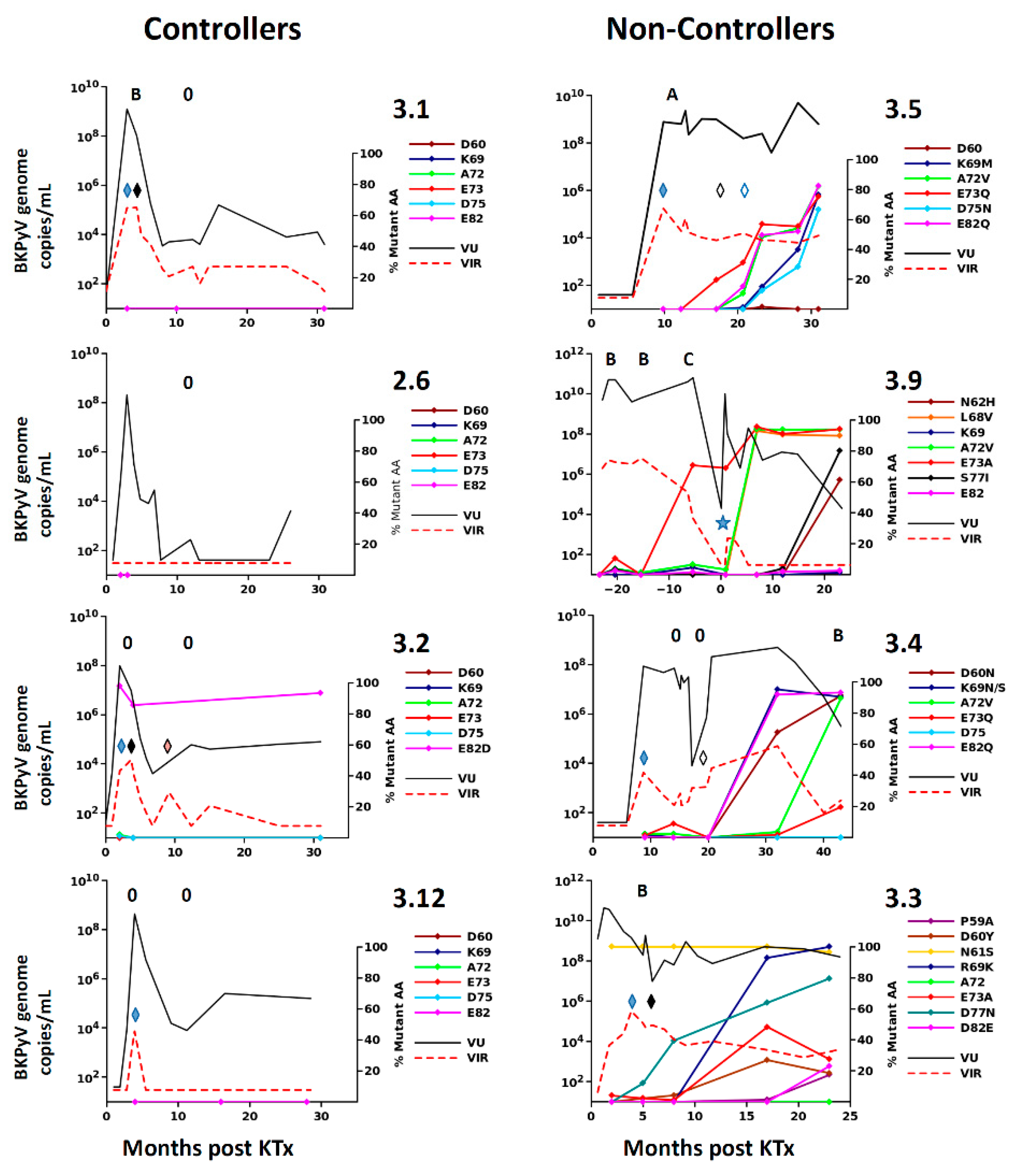 Viruses 12 00824 g003