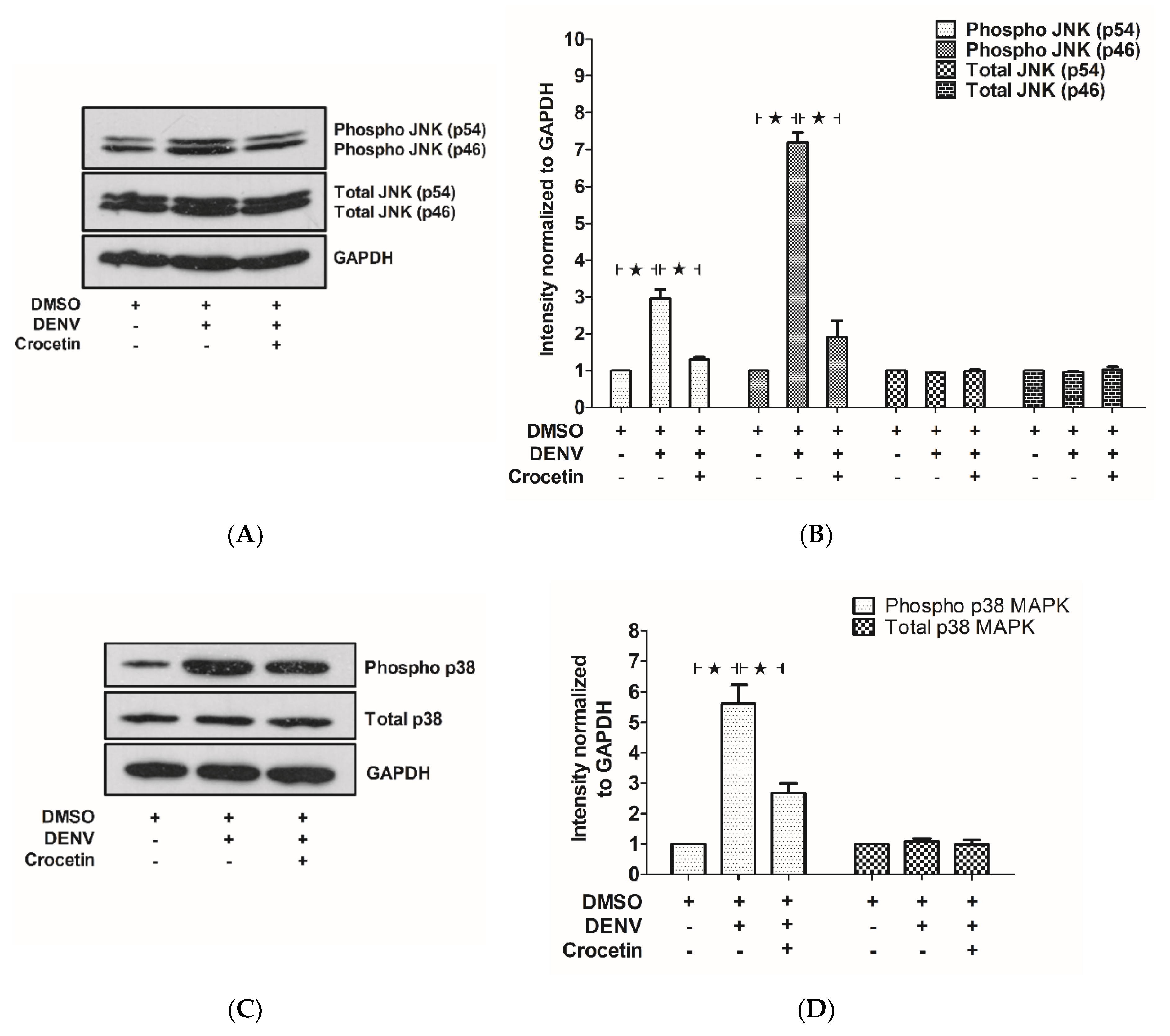 Viruses 12 00825 g007