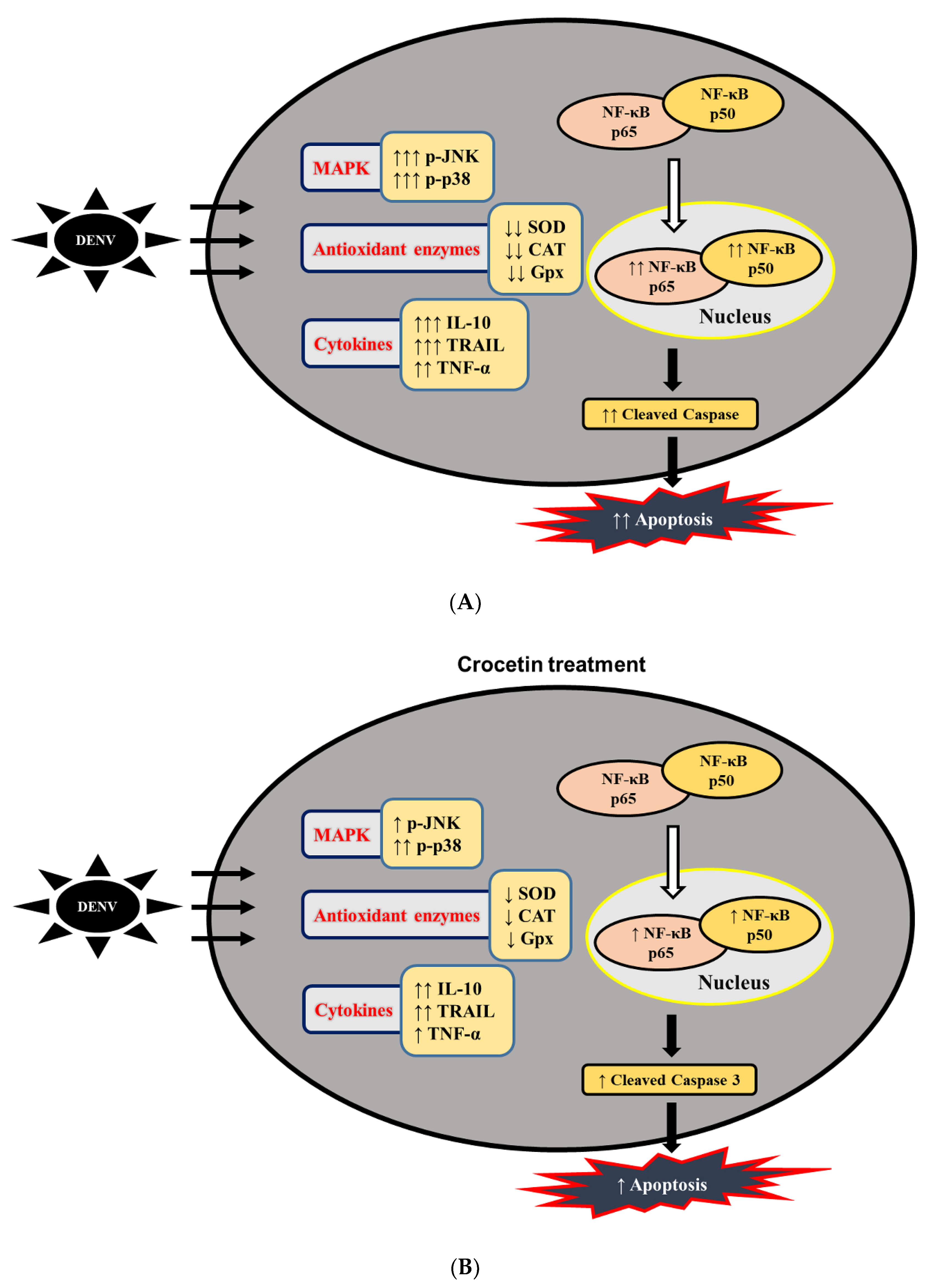 Viruses 12 00825 g009