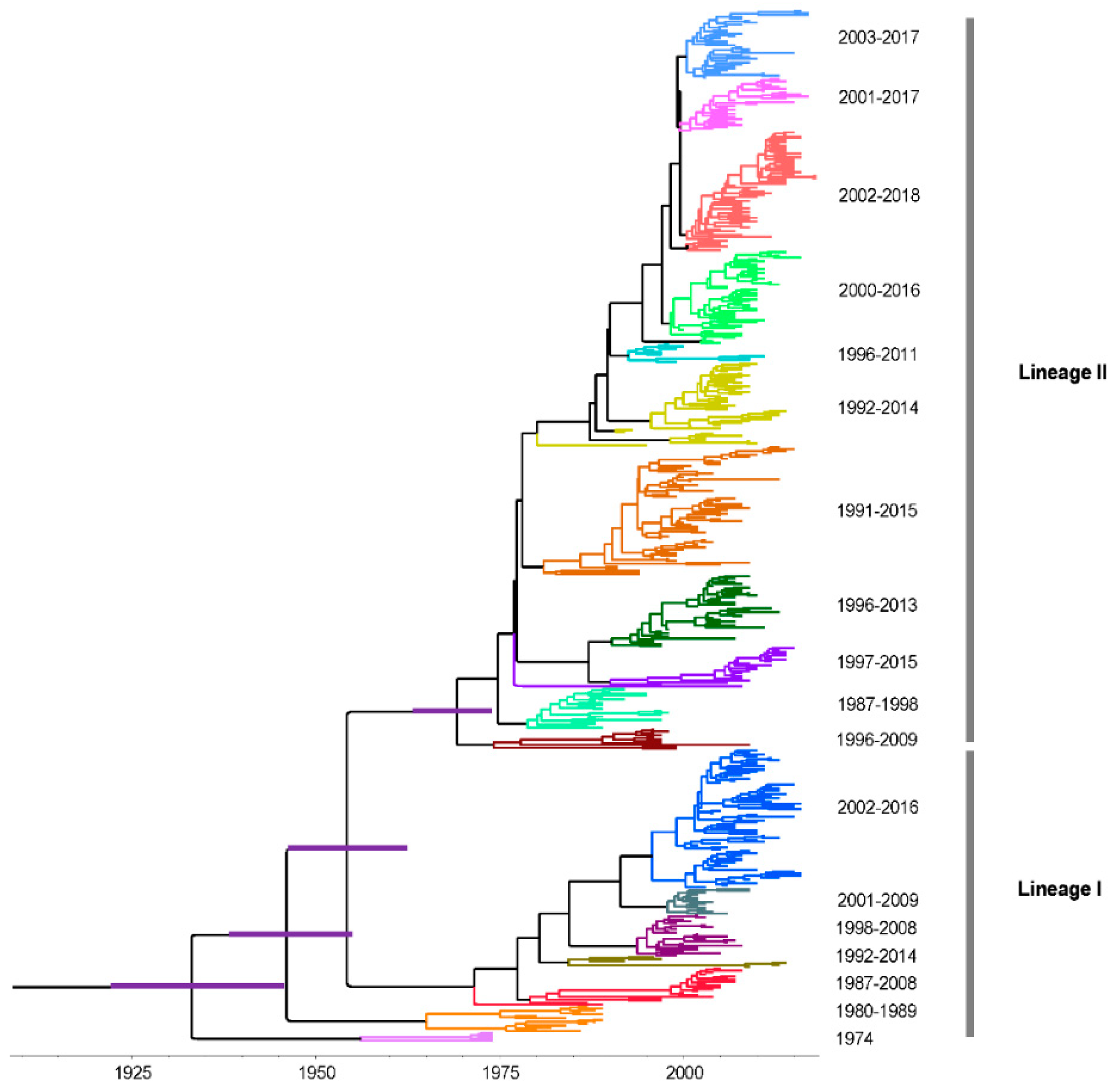 Viruses 12 00831 g006 Viruses 12 00831 g006