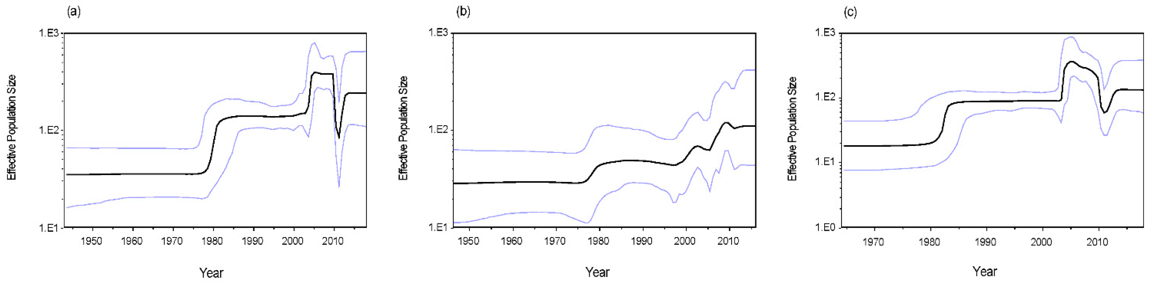 Viruses 12 00831 g007 Viruses 12 00831 g007