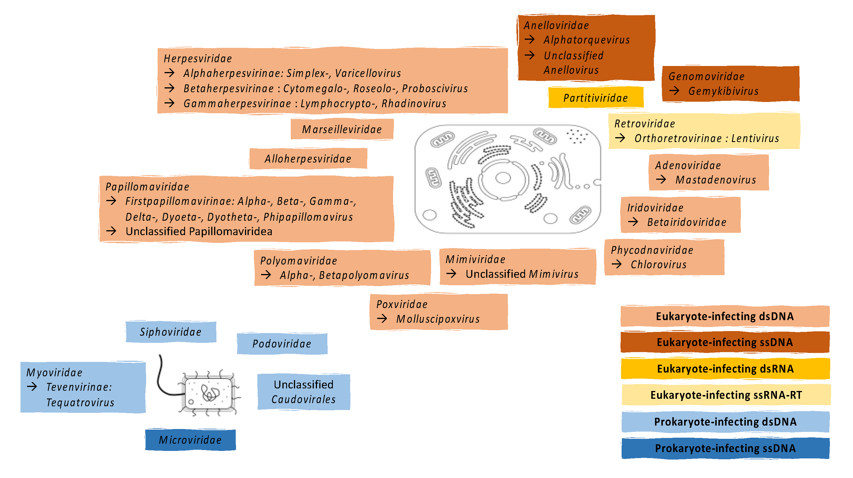 Viruses 12 00832 g001 Viruses 12 00832 g001