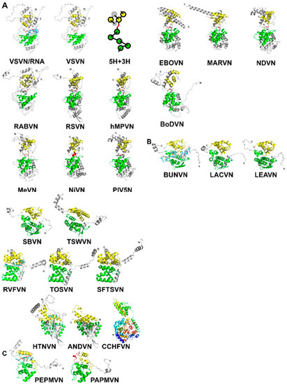 Viruses 12 00835 g001 550