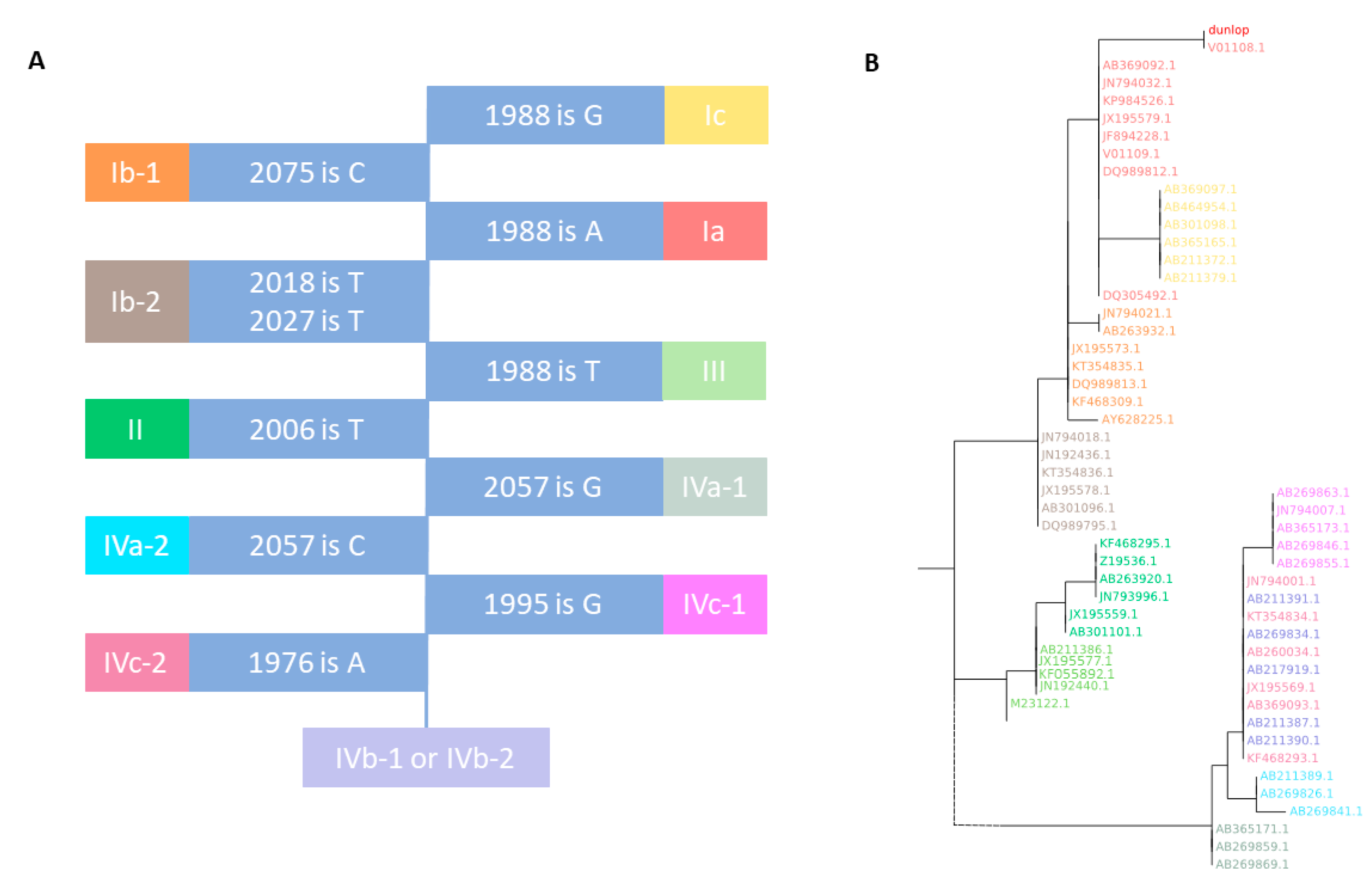 Viruses 12 00837 g001 Viruses 12 00837 g001
