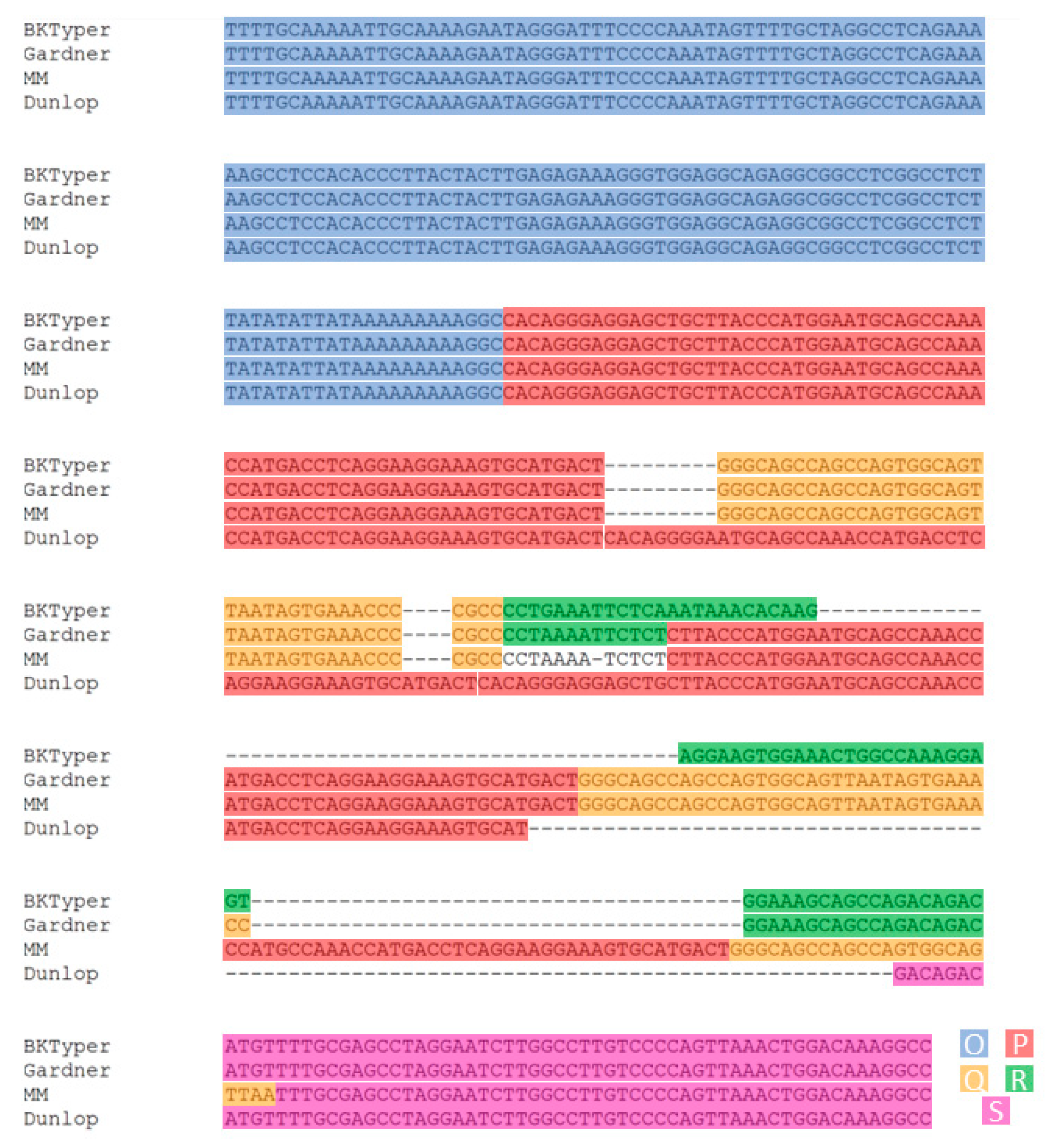 Viruses 12 00837 g004 Viruses 12 00837 g004