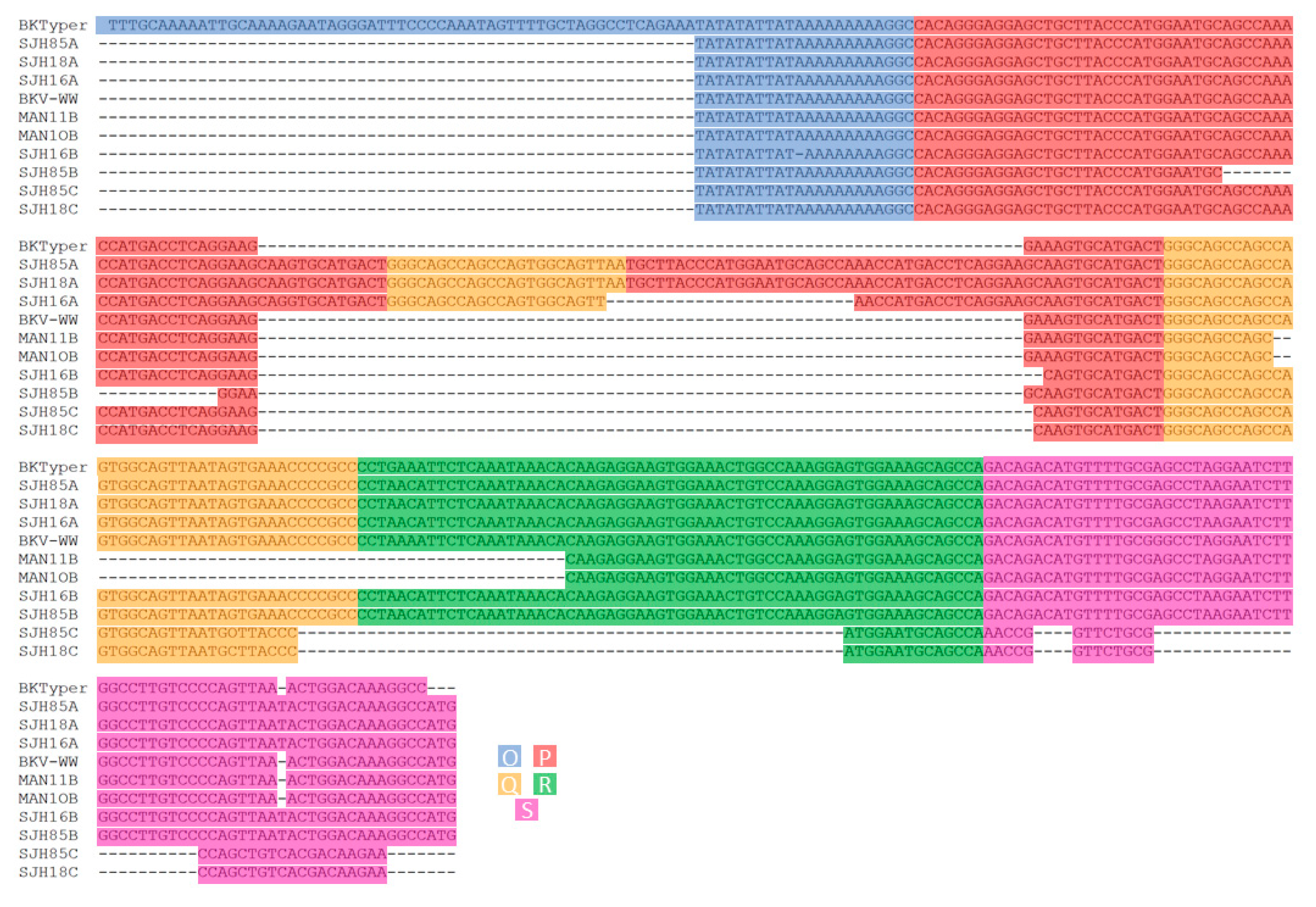 Viruses 12 00837 g005 Viruses 12 00837 g005