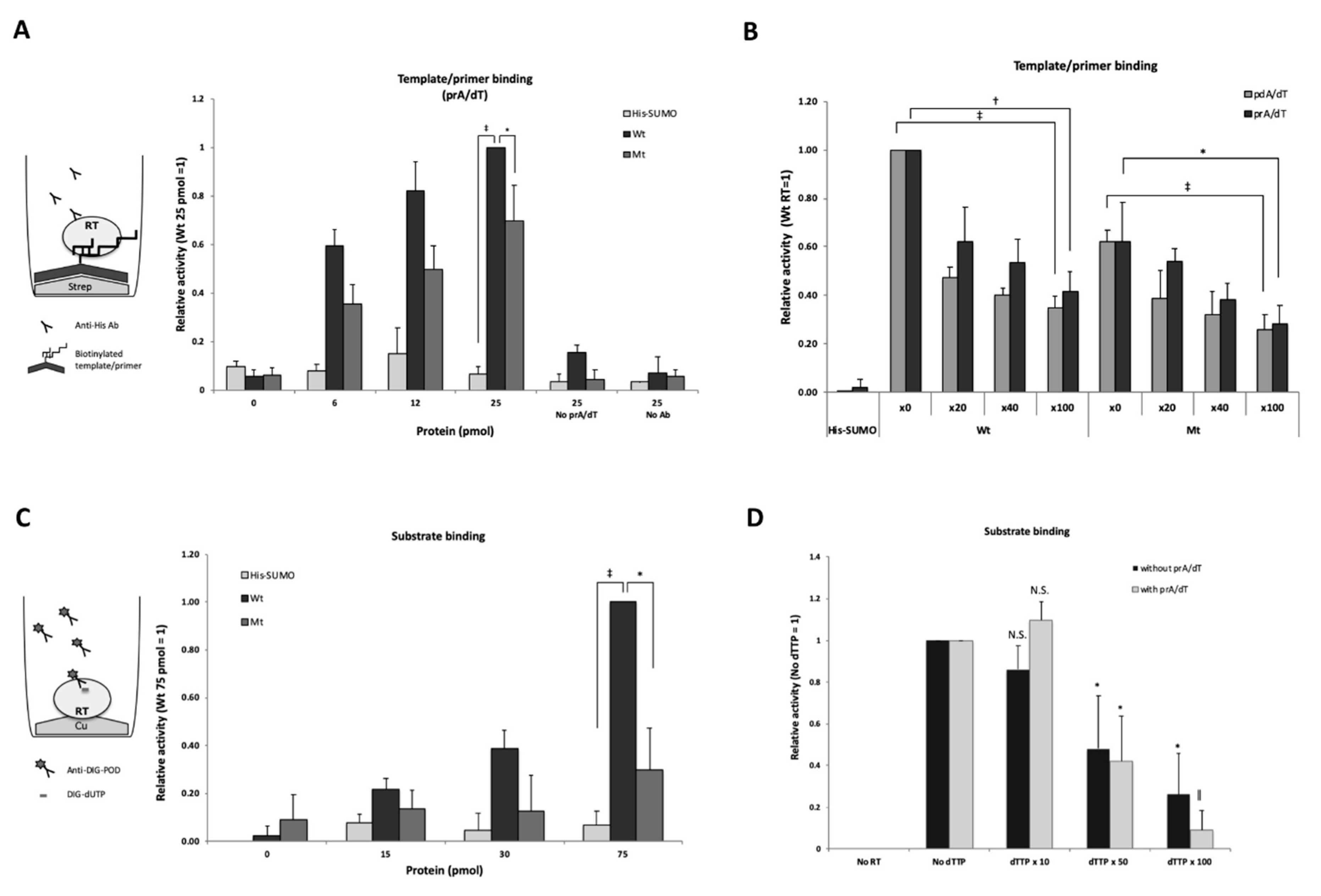 Viruses 12 00840 g002 Viruses 12 00840 g002