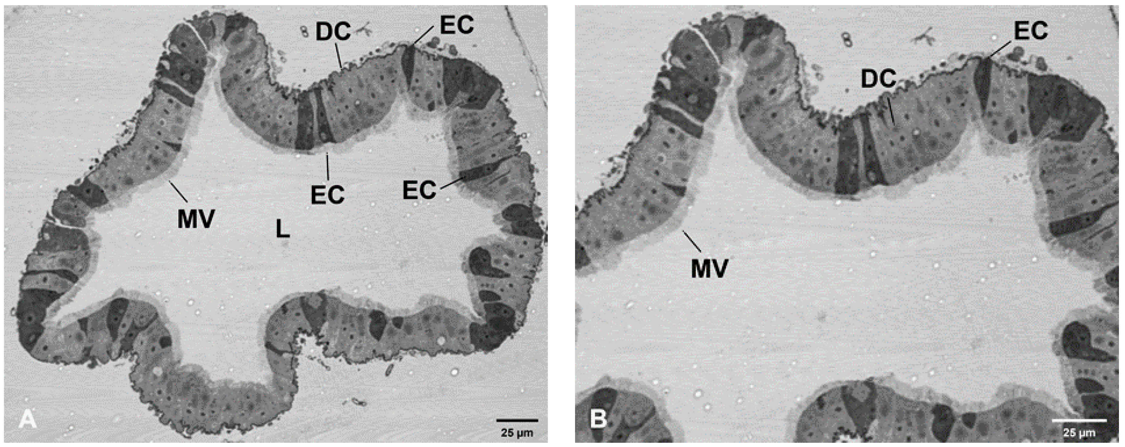 Viruses 12 00848 g002 Viruses 12 00848 g002
