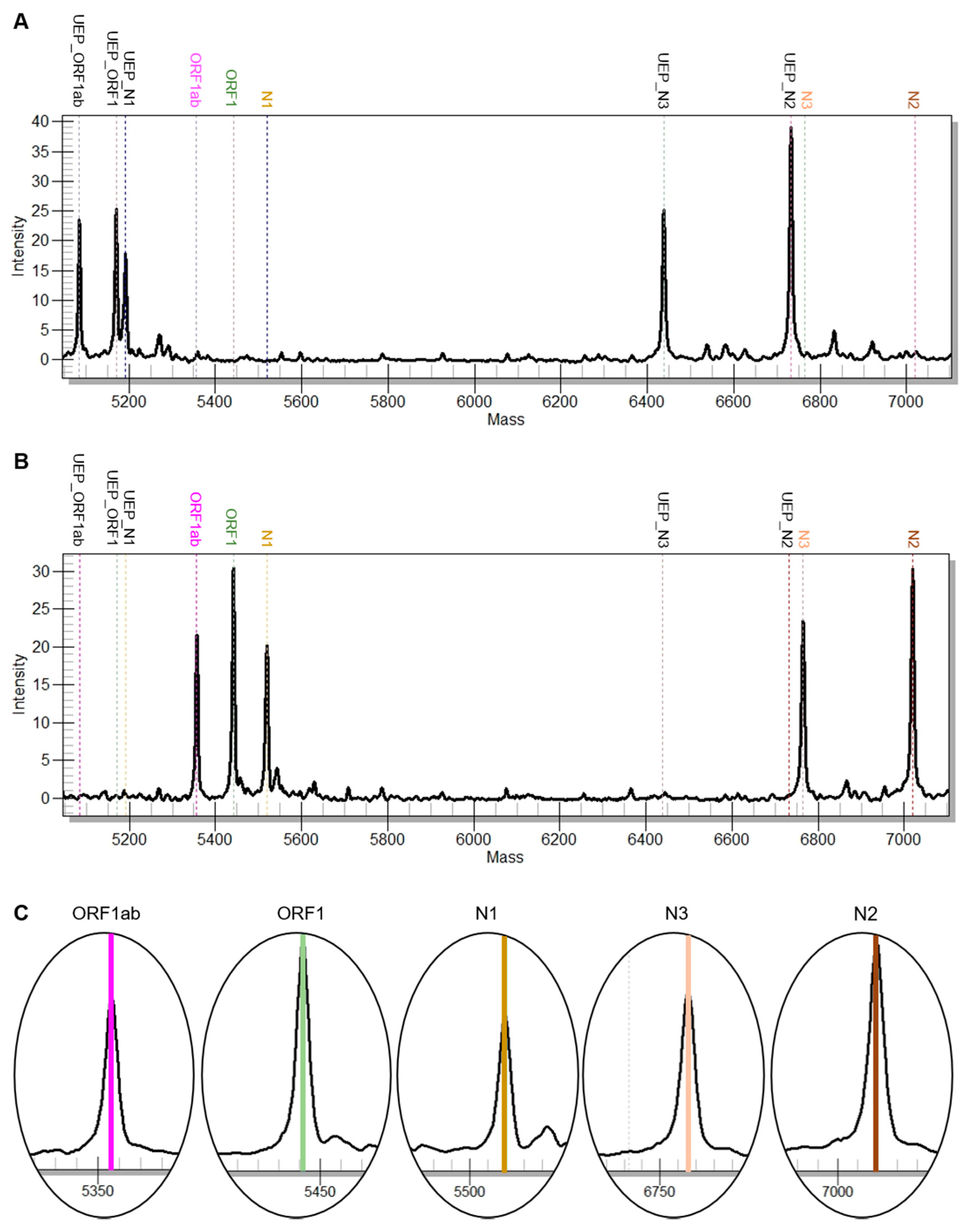 Viruses 12 00849 g002 Viruses 12 00849 g002