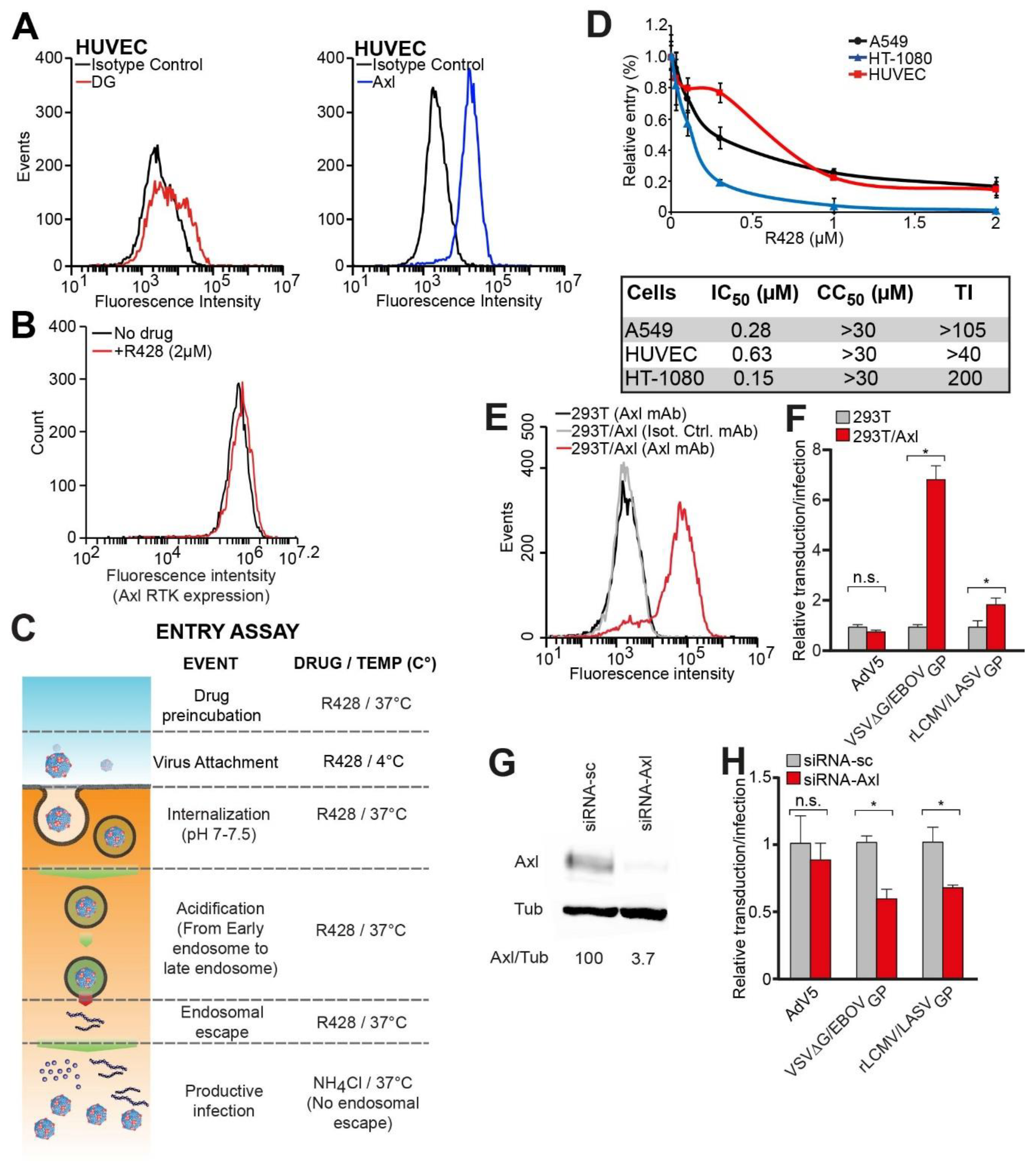 Viruses 12 00857 g001