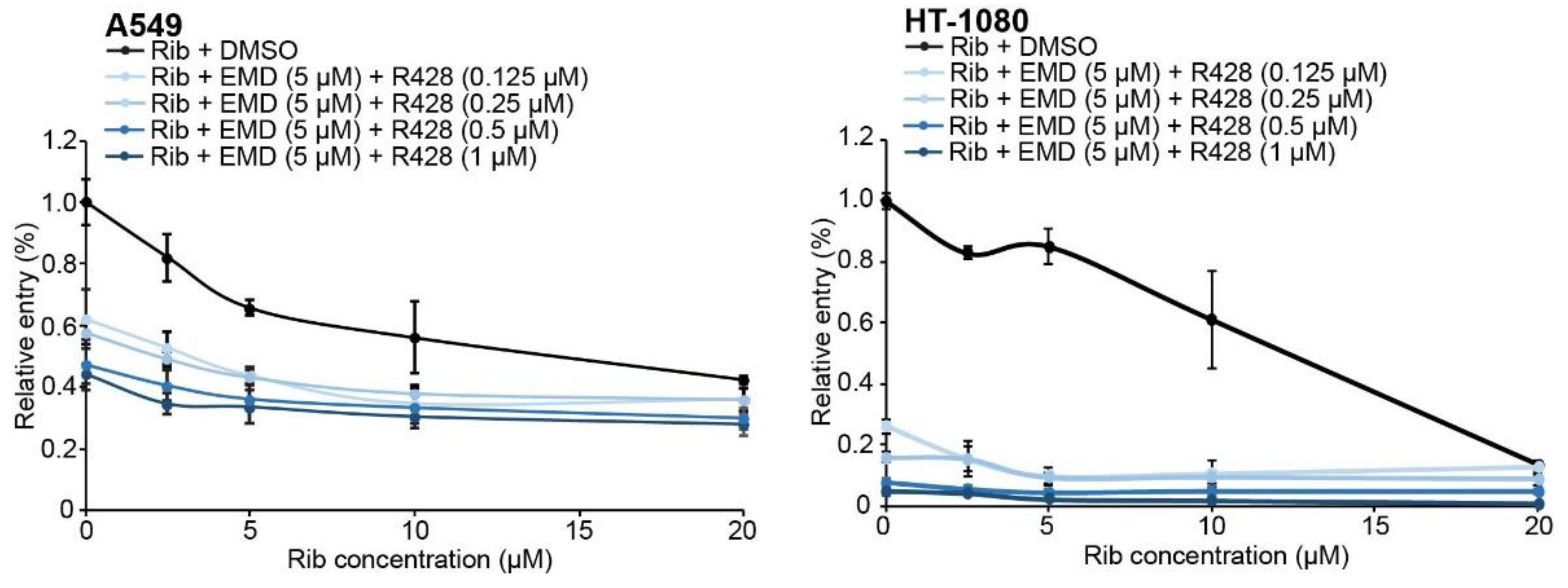 Viruses 12 00857 g007