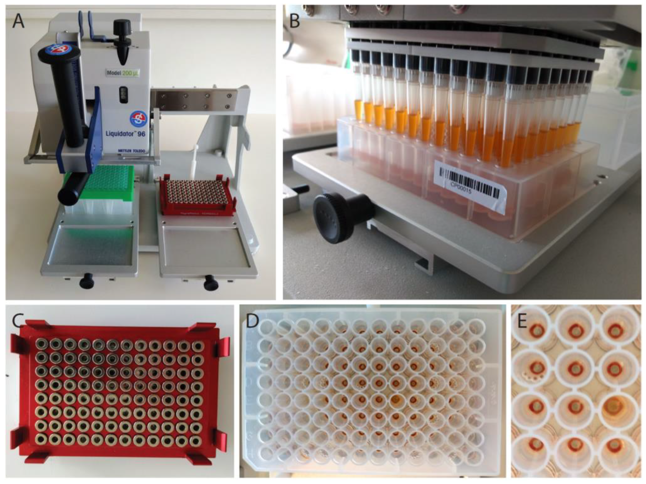 Viruses 12 00863 g001