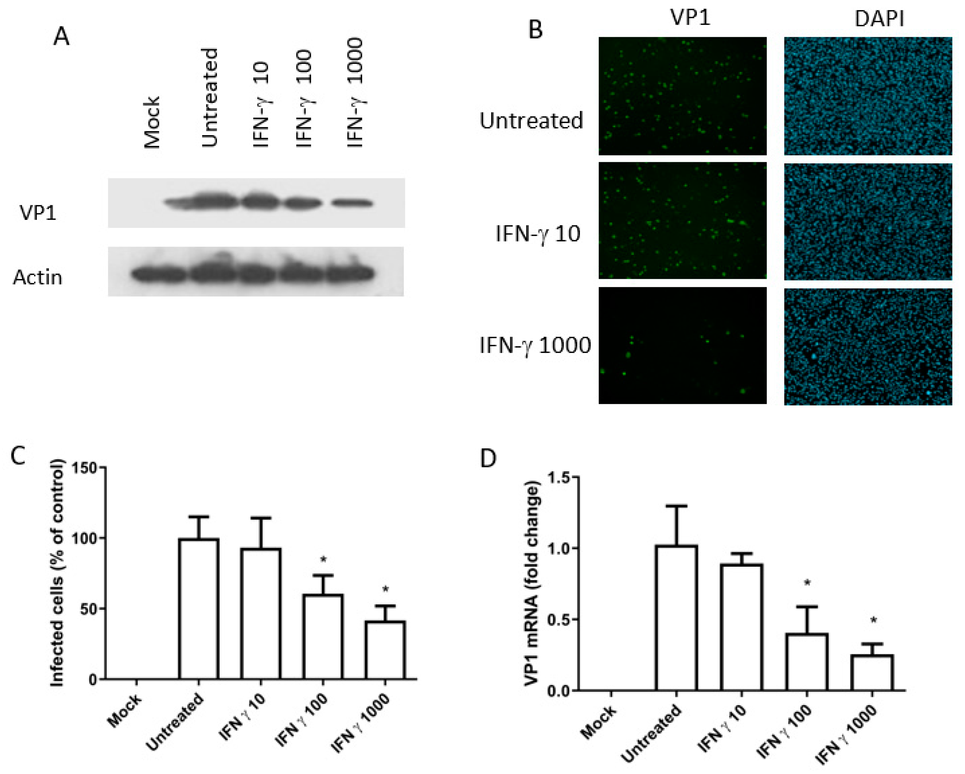 Viruses 12 00865 g003 Viruses 12 00865 g003