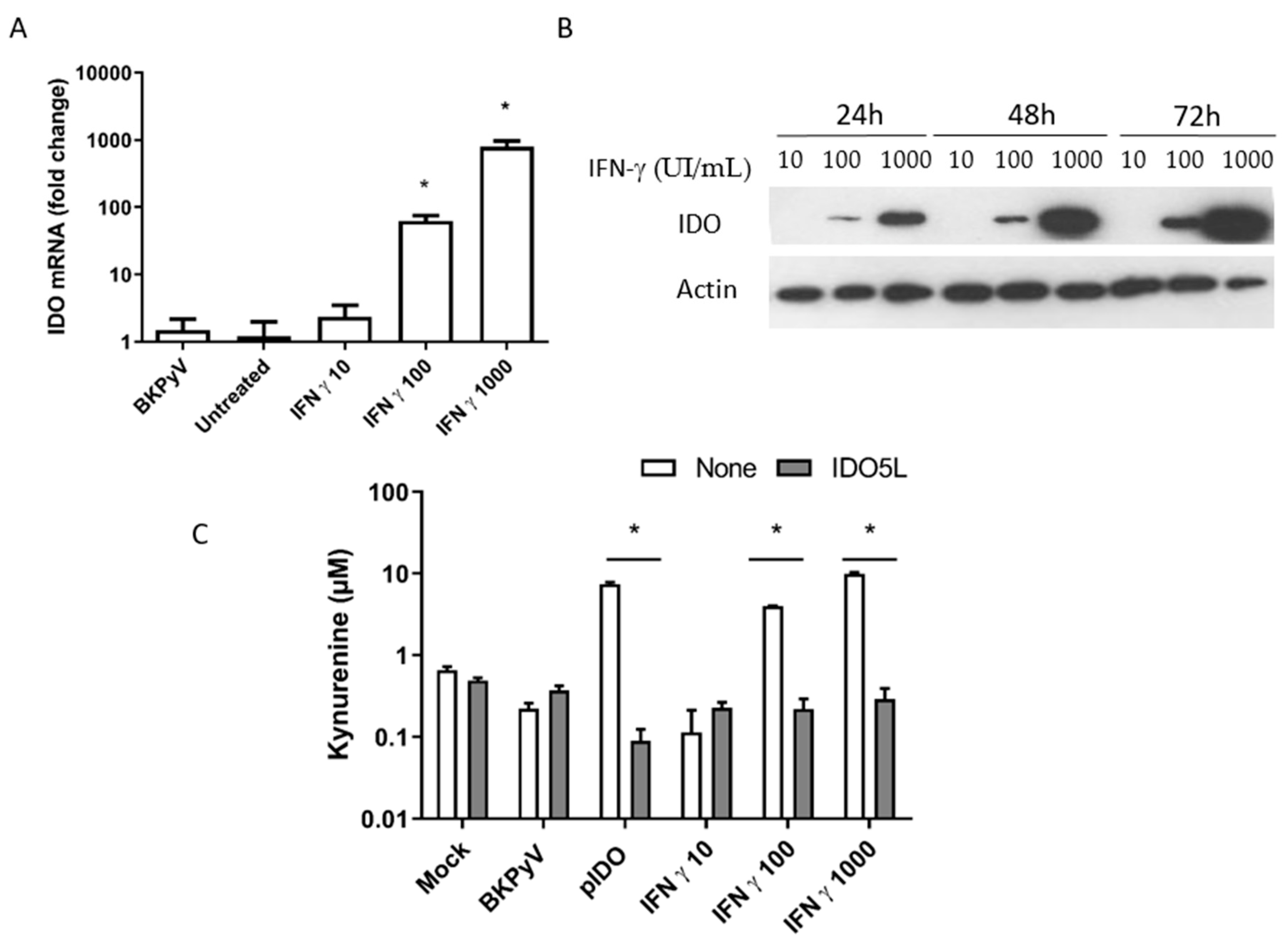 Viruses 12 00865 g004 Viruses 12 00865 g004