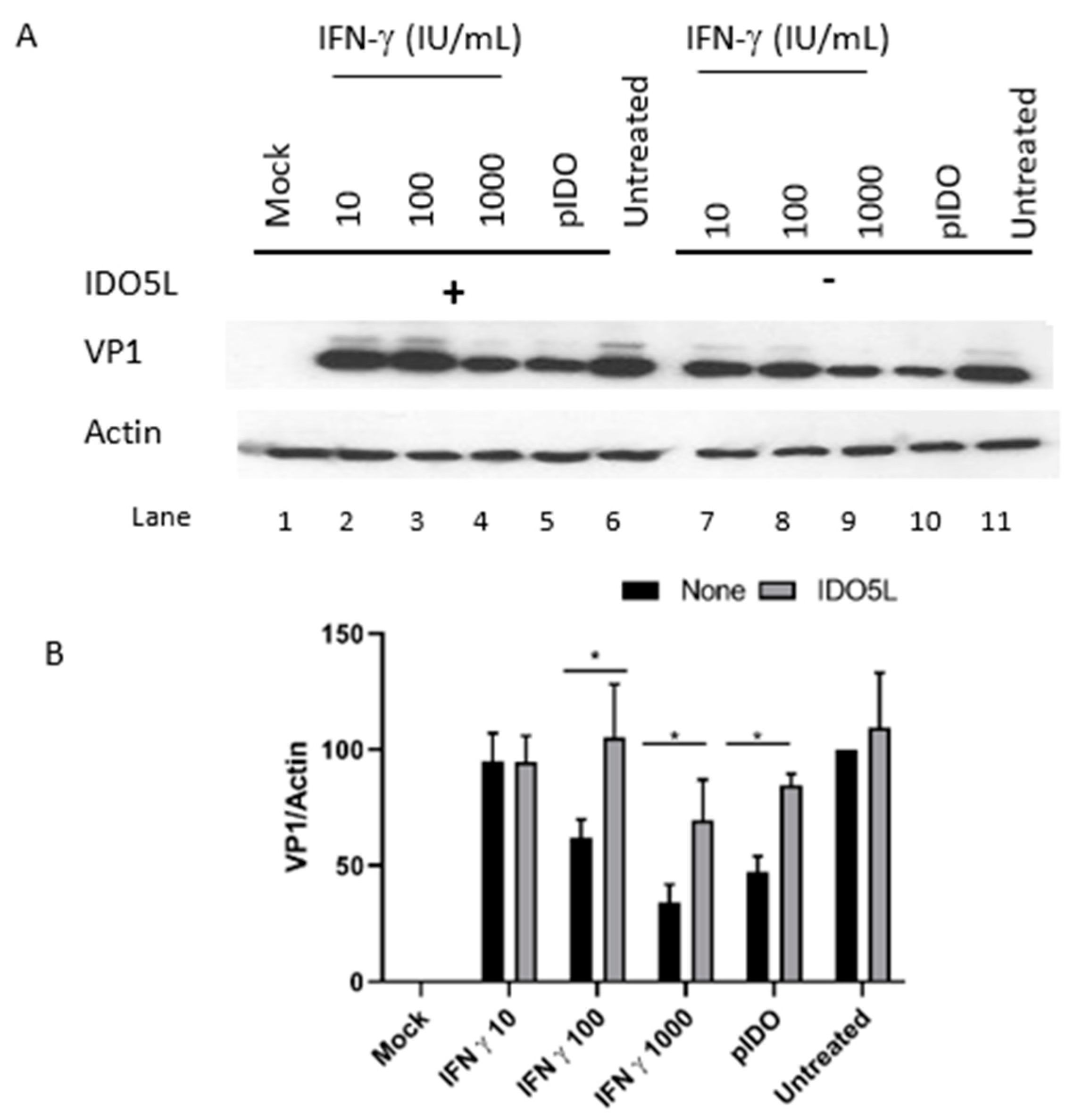 Viruses 12 00865 g005 Viruses 12 00865 g005