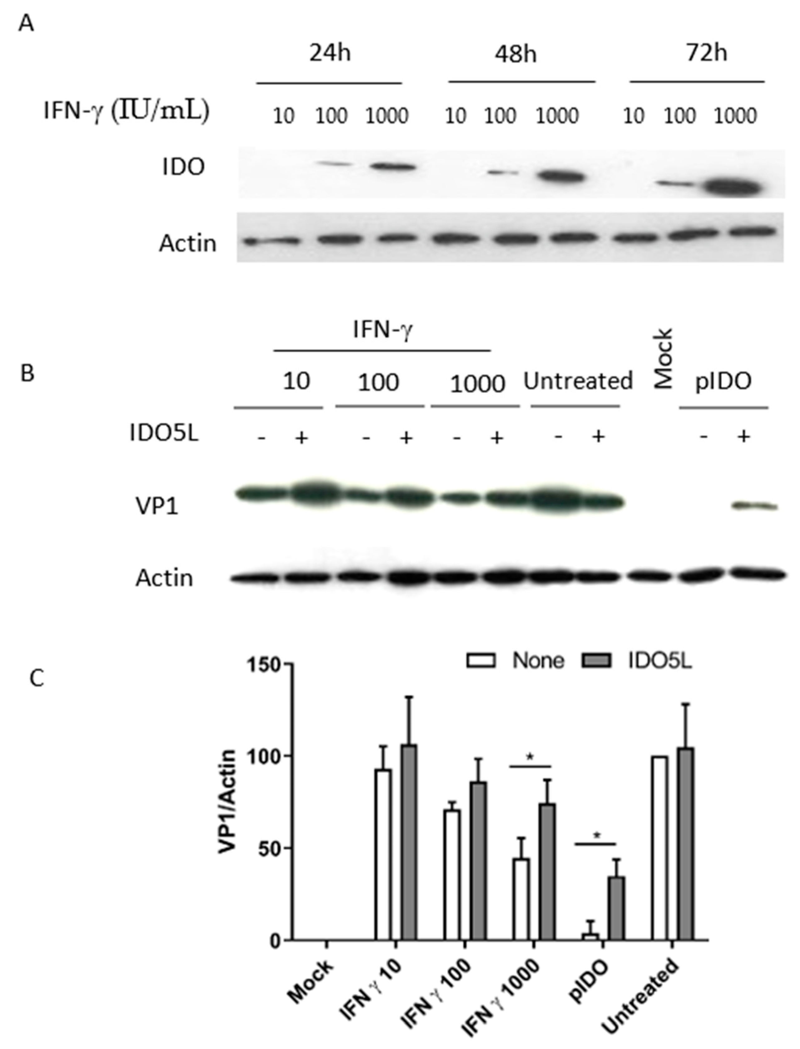 Viruses 12 00865 g006 Viruses 12 00865 g006