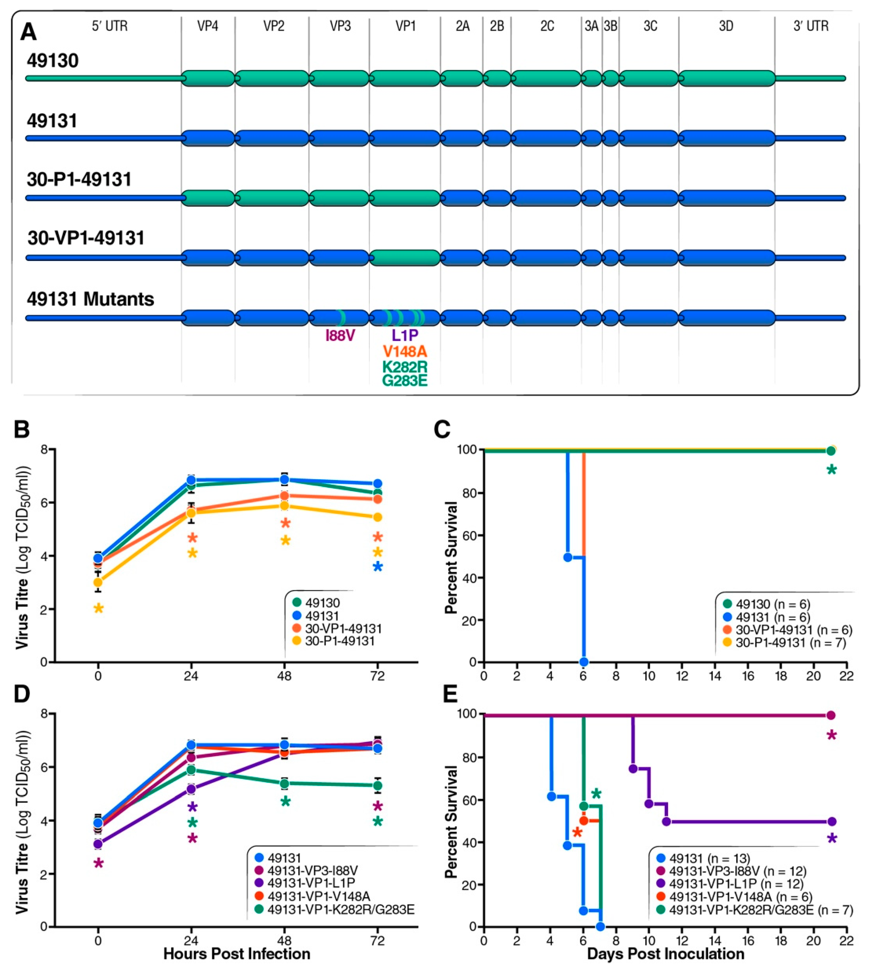 Viruses 12 00867 g005 Viruses 12 00867 g005