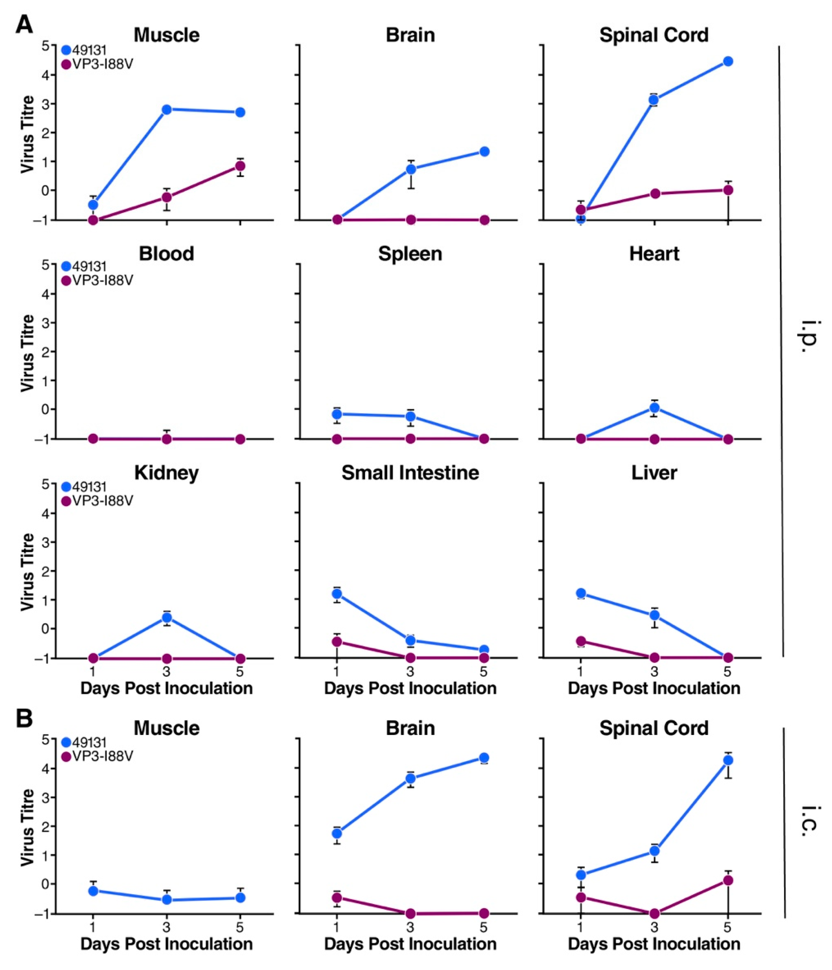 Viruses 12 00867 g007 Viruses 12 00867 g007