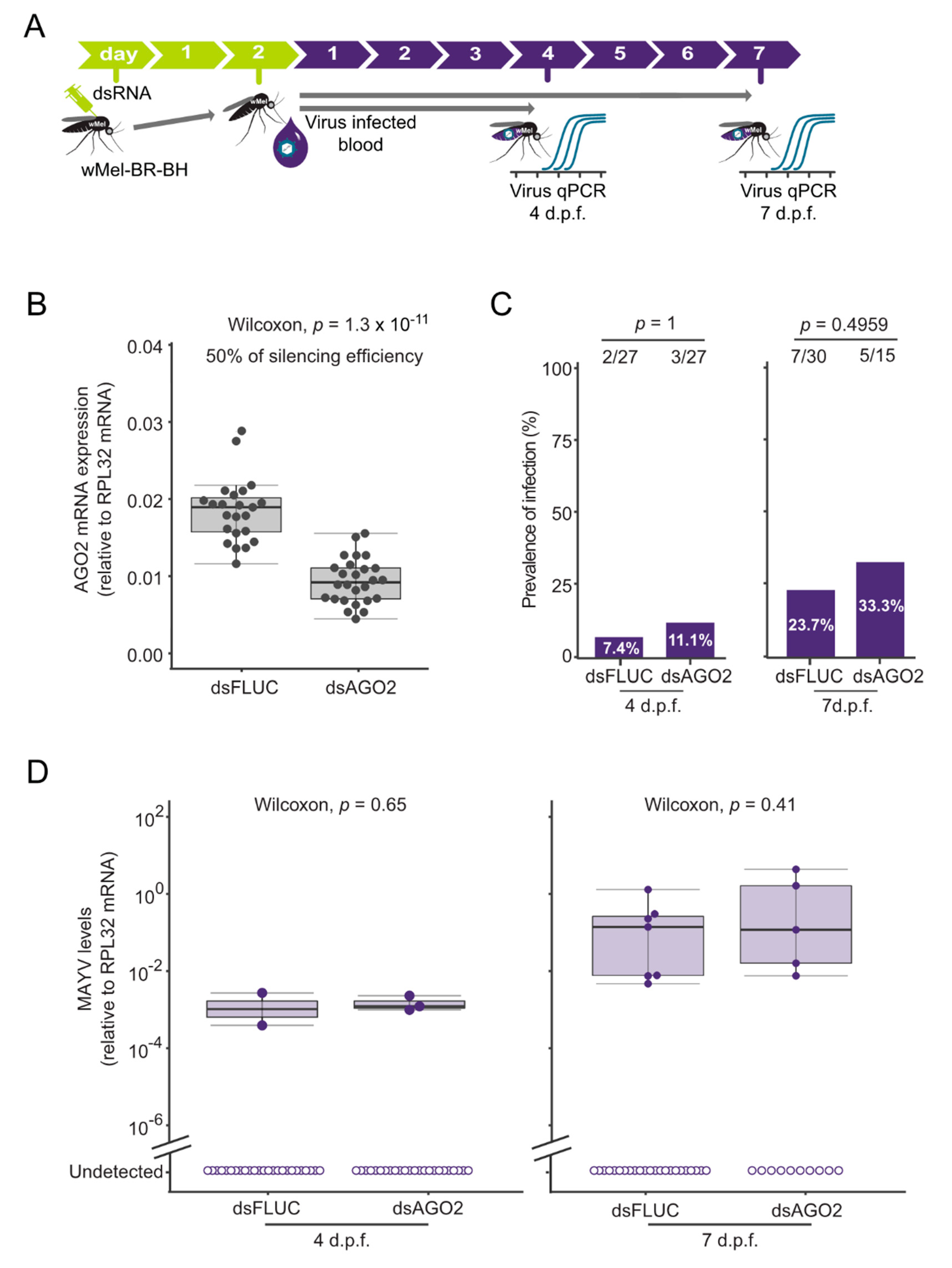 Viruses 12 00871 g004