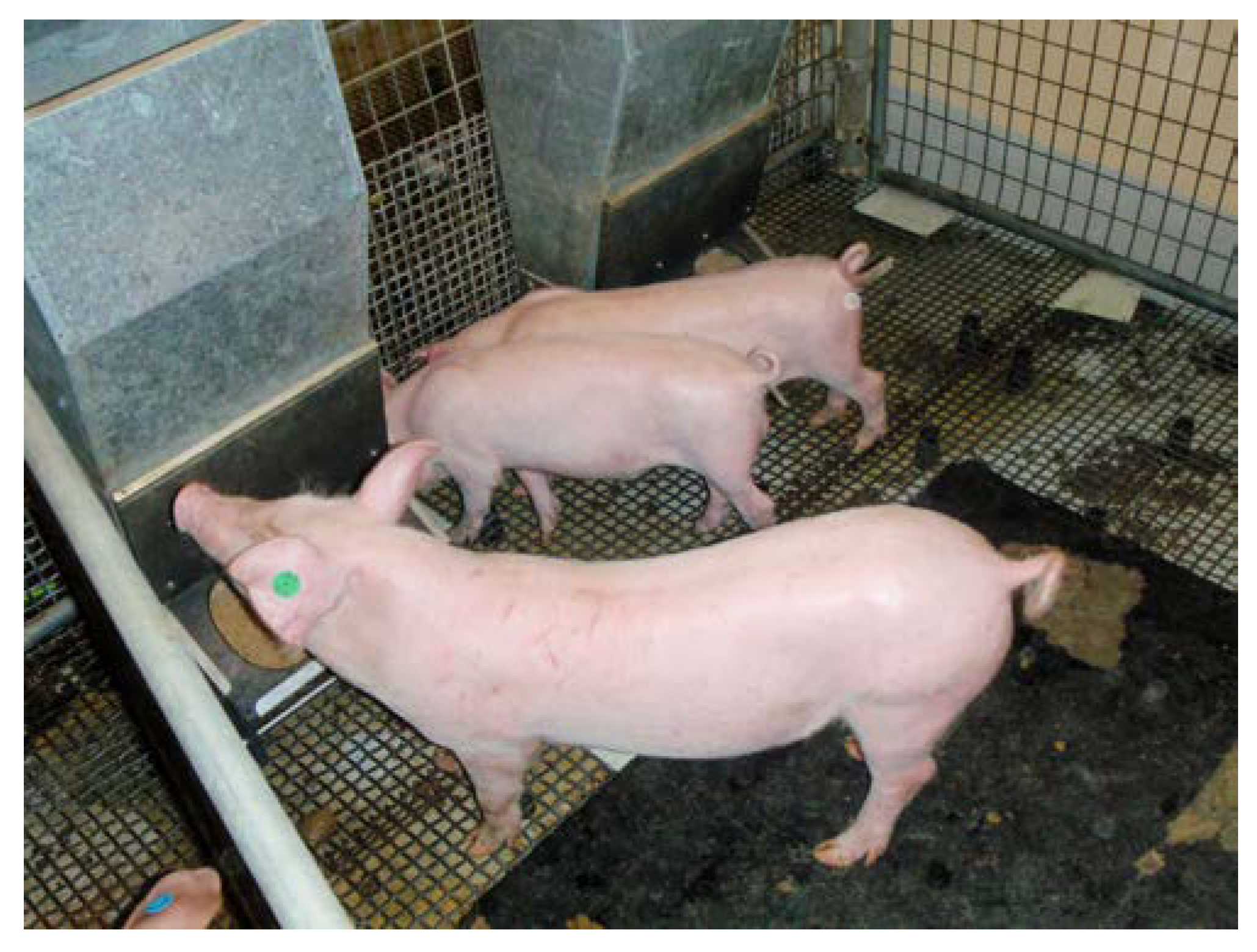 Viruses 12 00873 g002