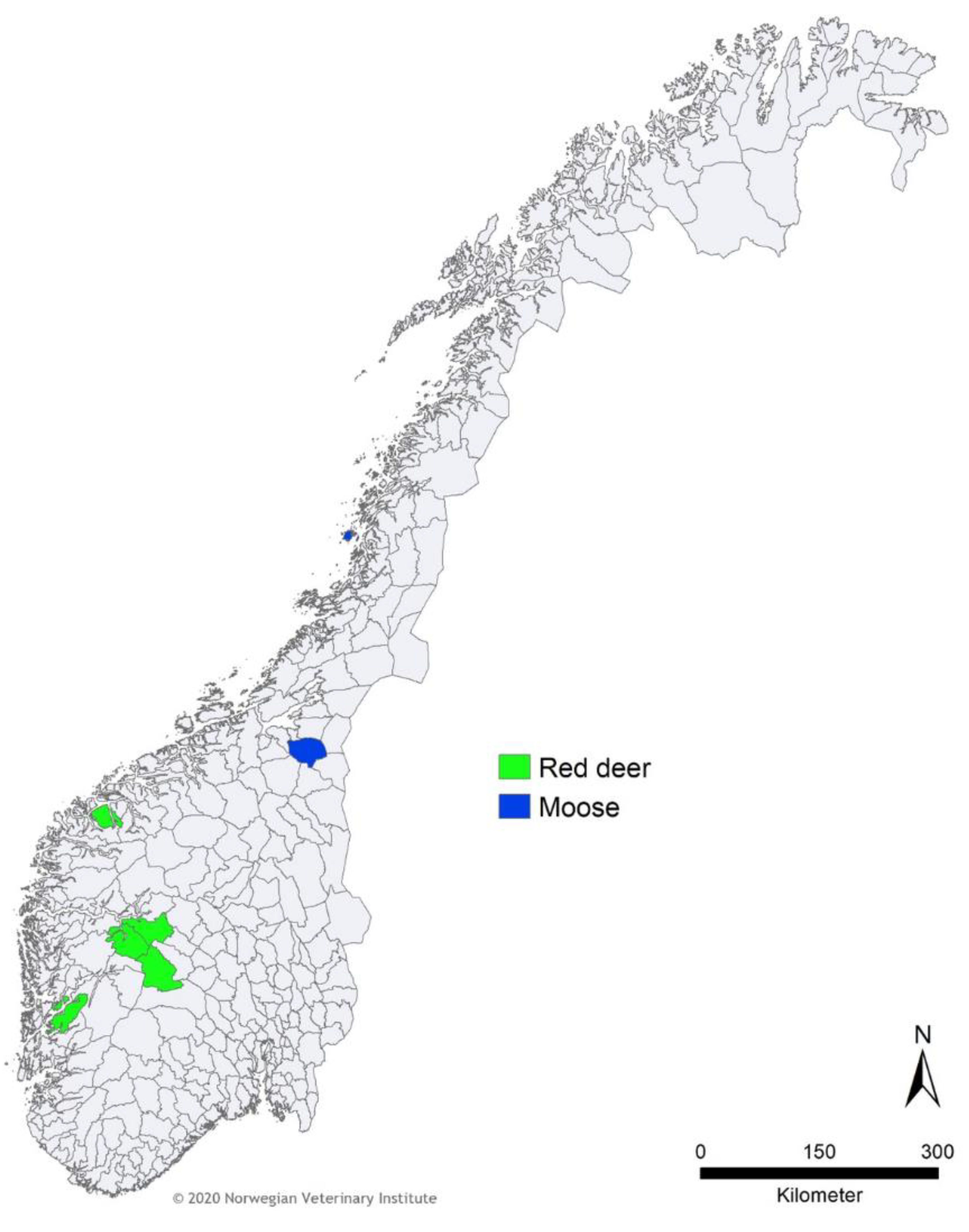 Viruses 12 00876 g001 Viruses 12 00876 g001