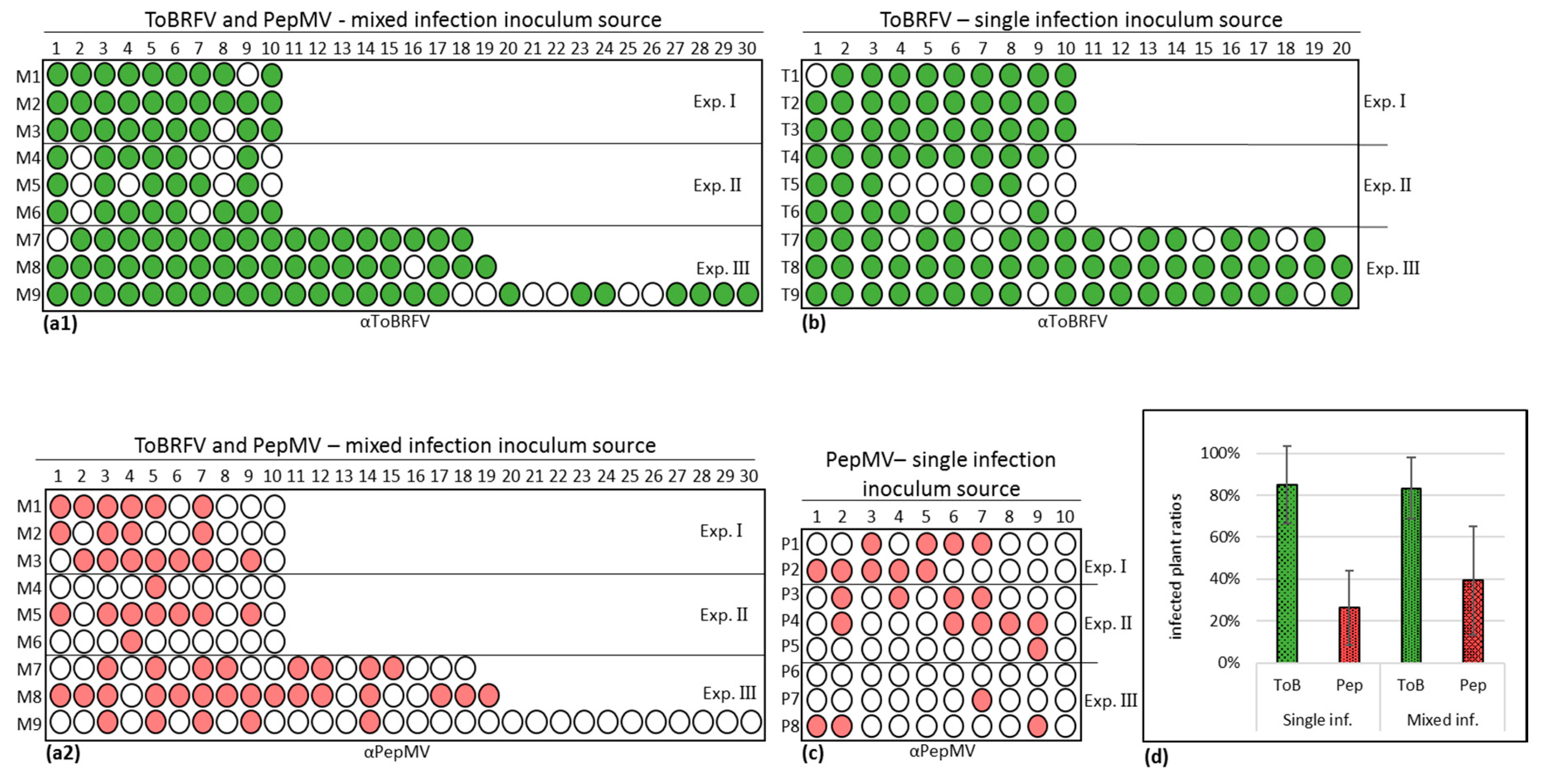 Viruses 12 00879 g003