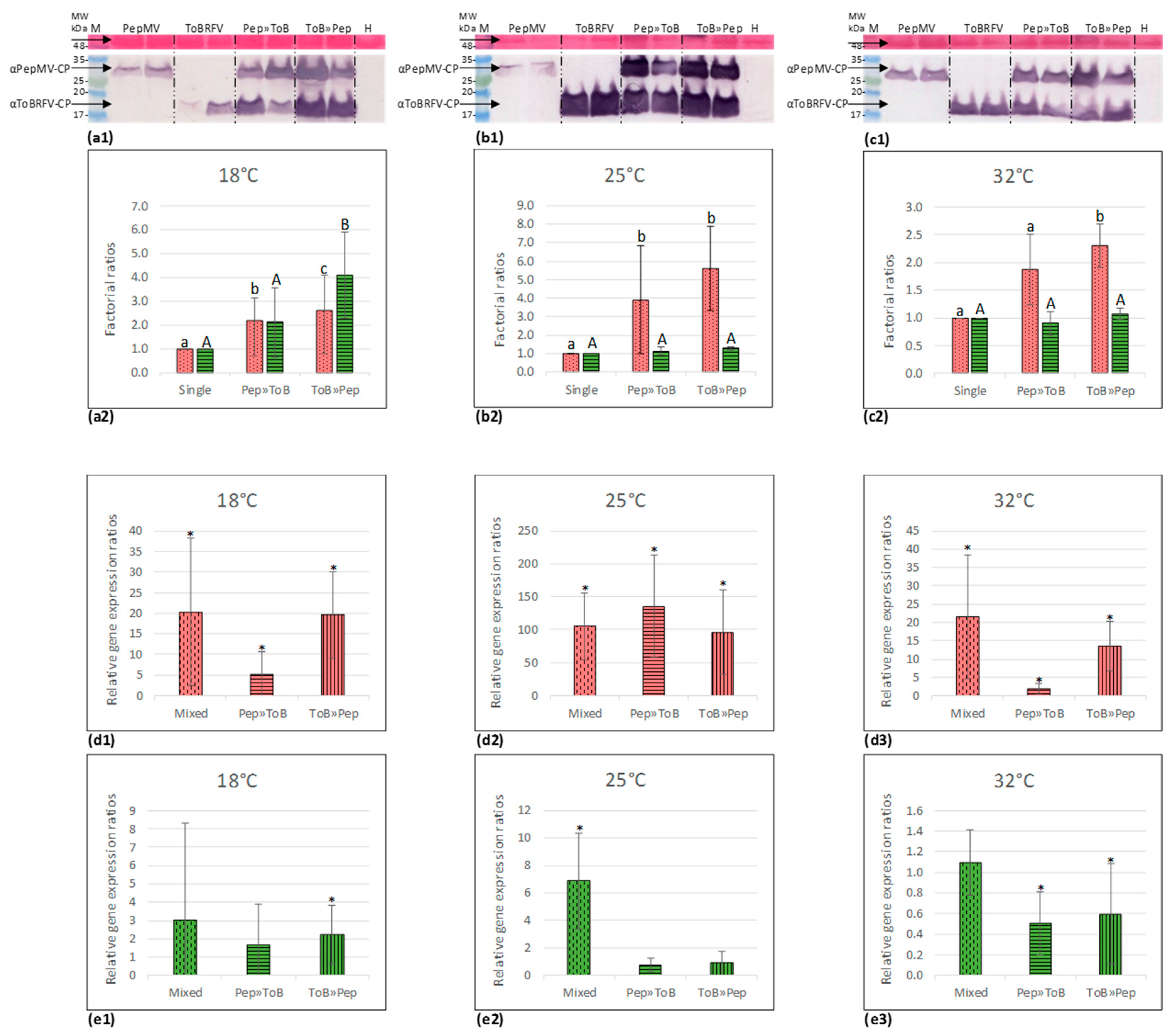 Viruses 12 00879 g006