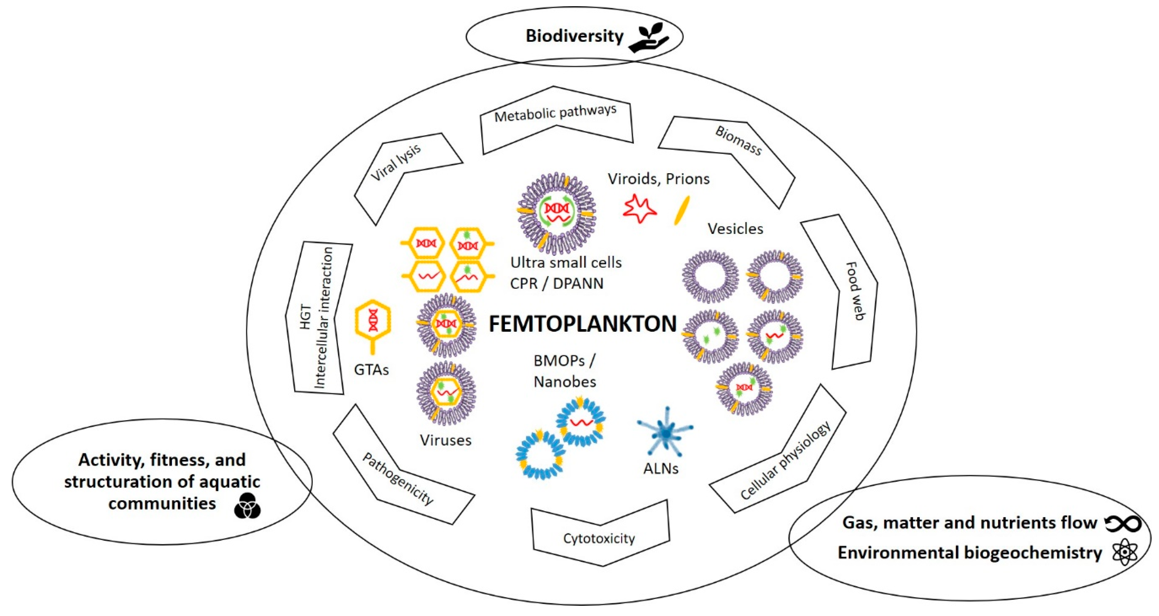 Viruses 12 00881 g008