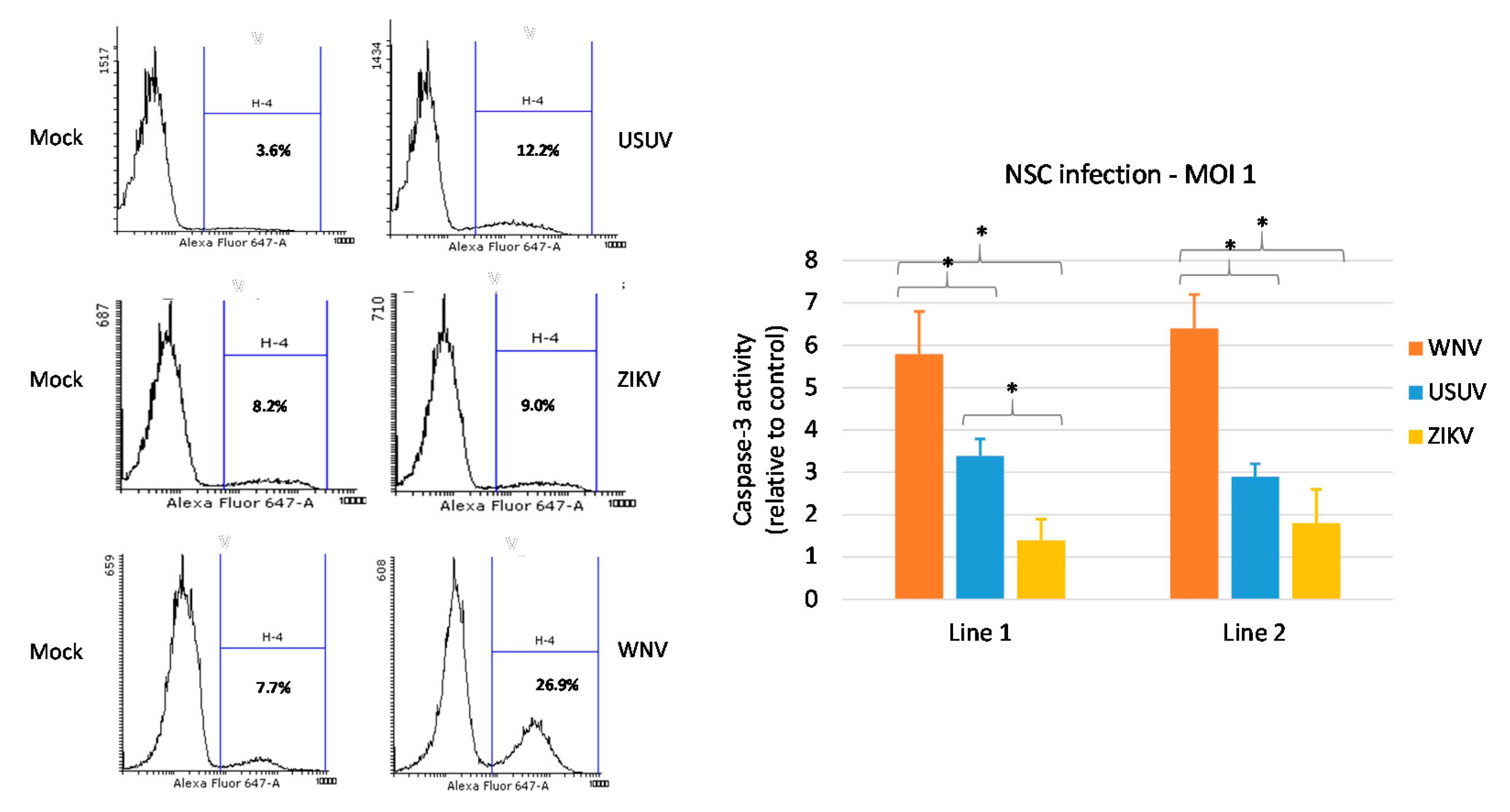 Viruses 12 00882 g005 Viruses 12 00882 g005