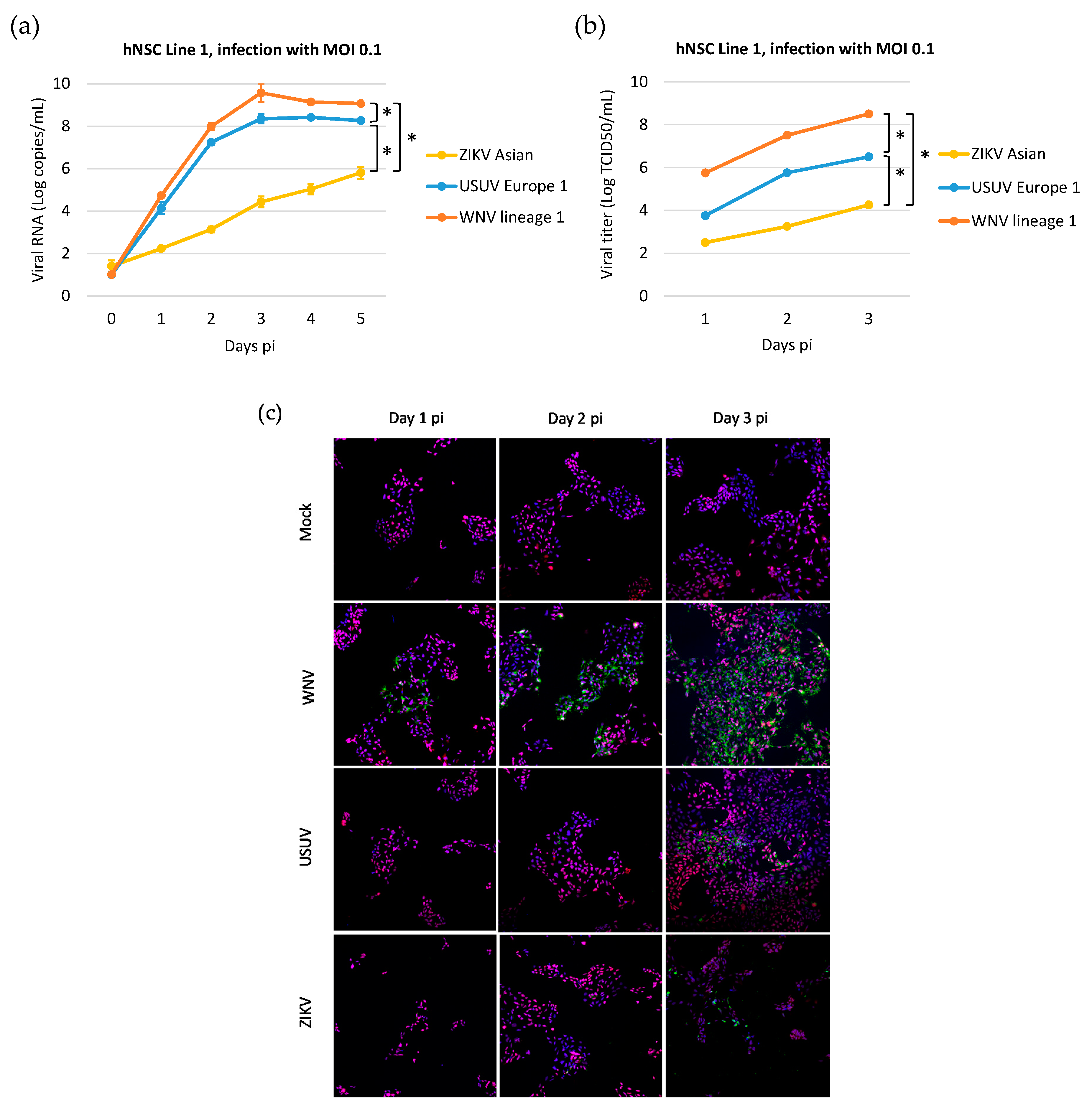 Viruses 12 00882 g007 Viruses 12 00882 g007