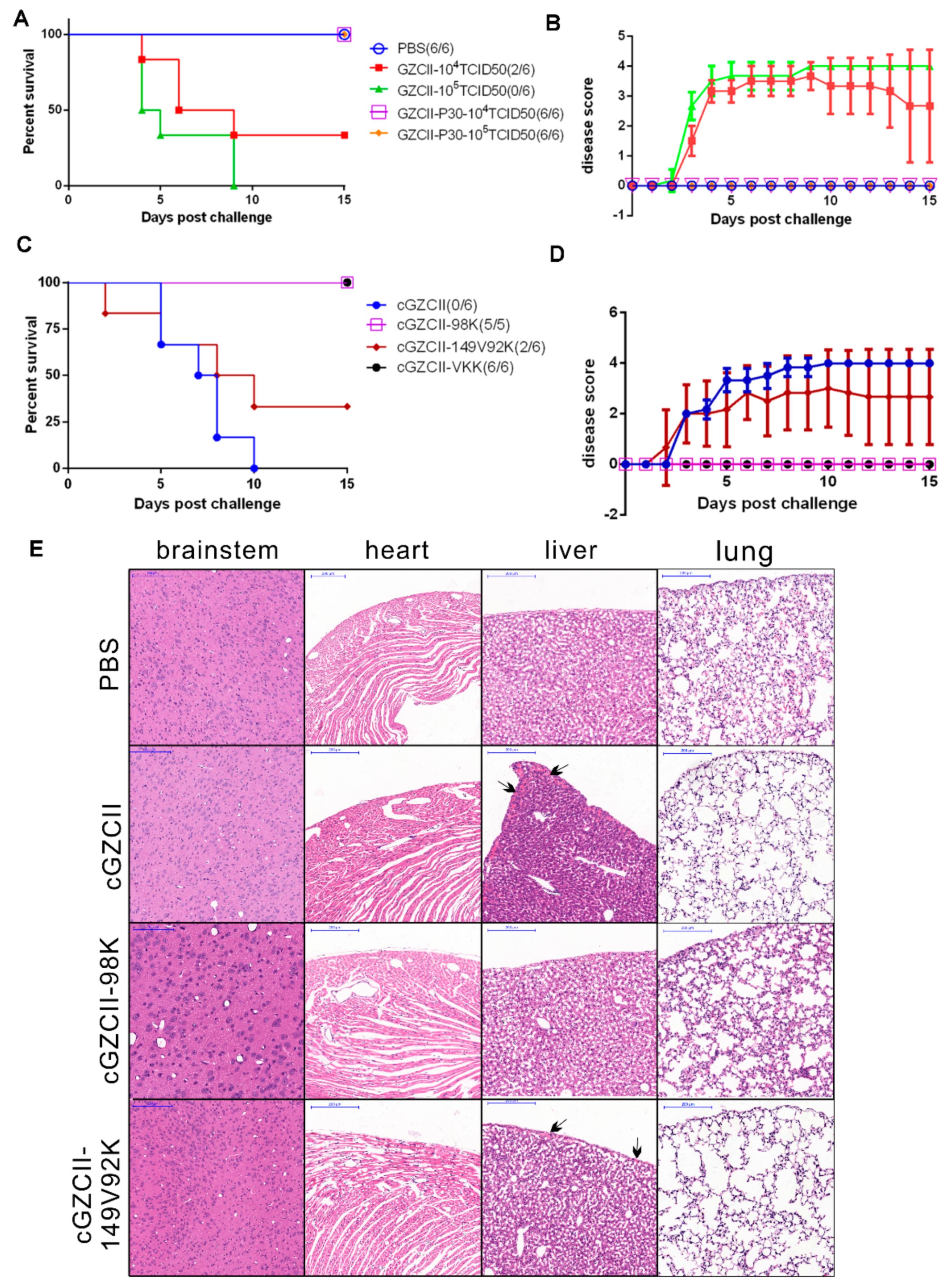 Viruses 12 00883 g007