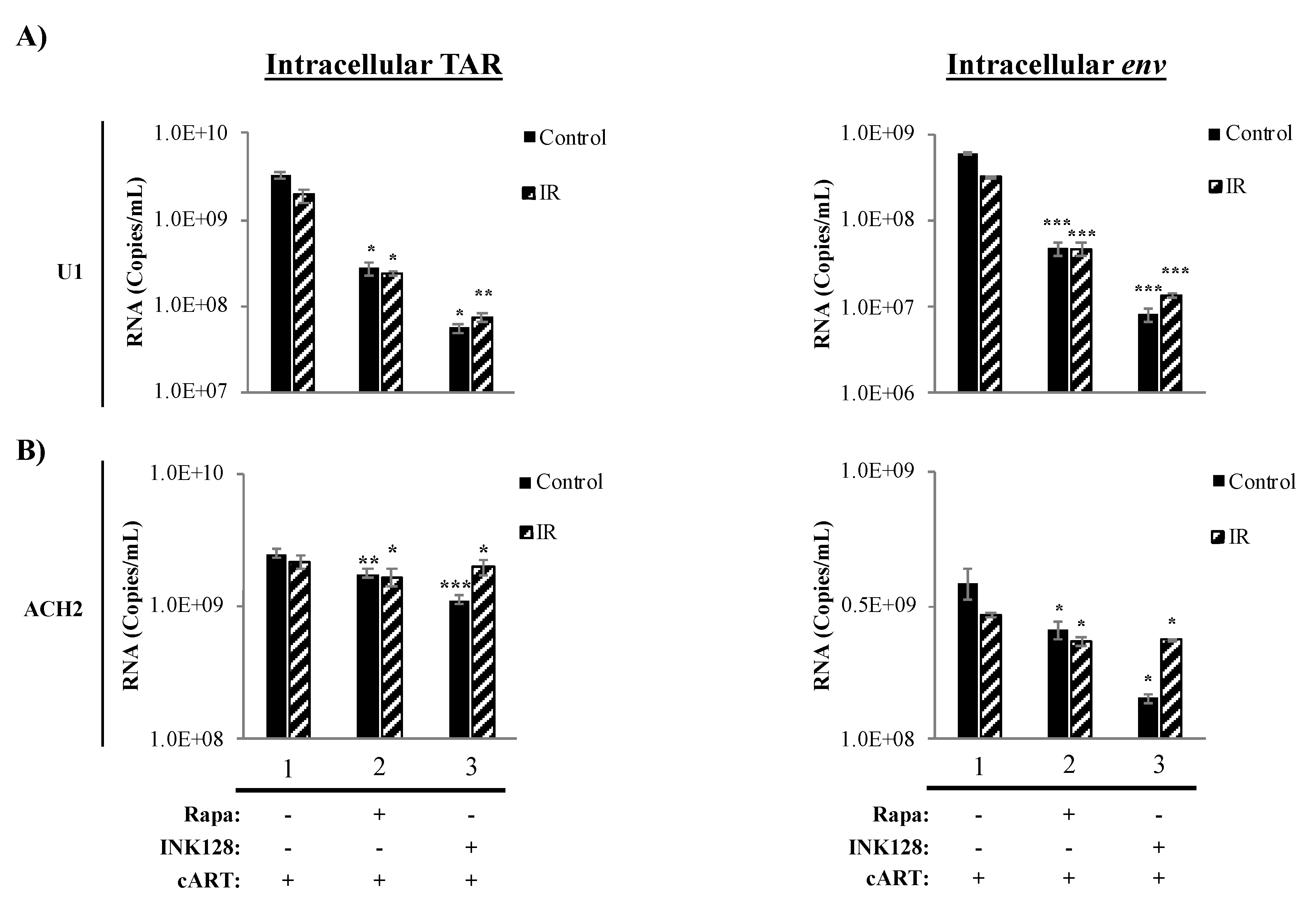Viruses 12 00885 g004