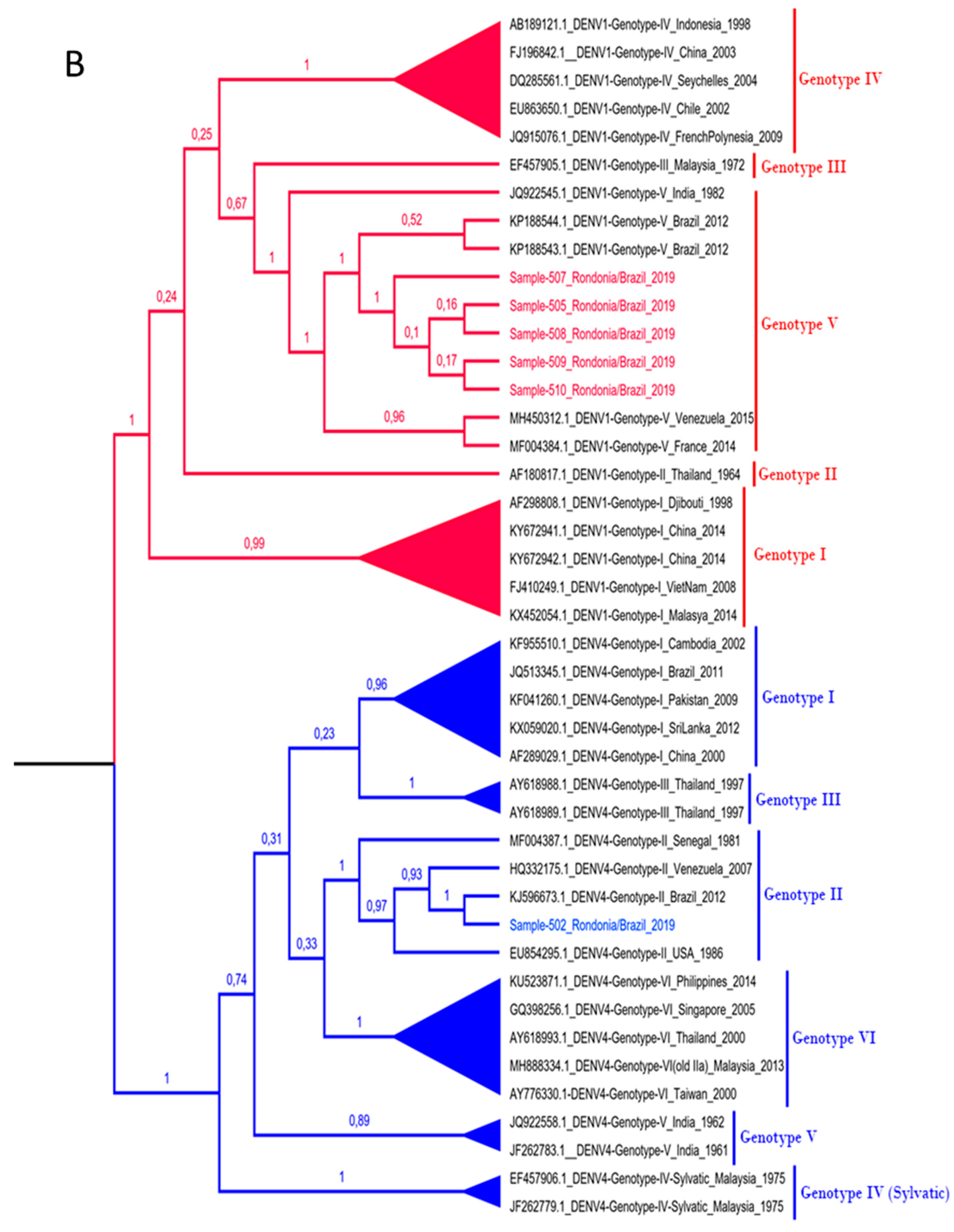 Viruses 12 00889 g002b Viruses 12 00889 g002b