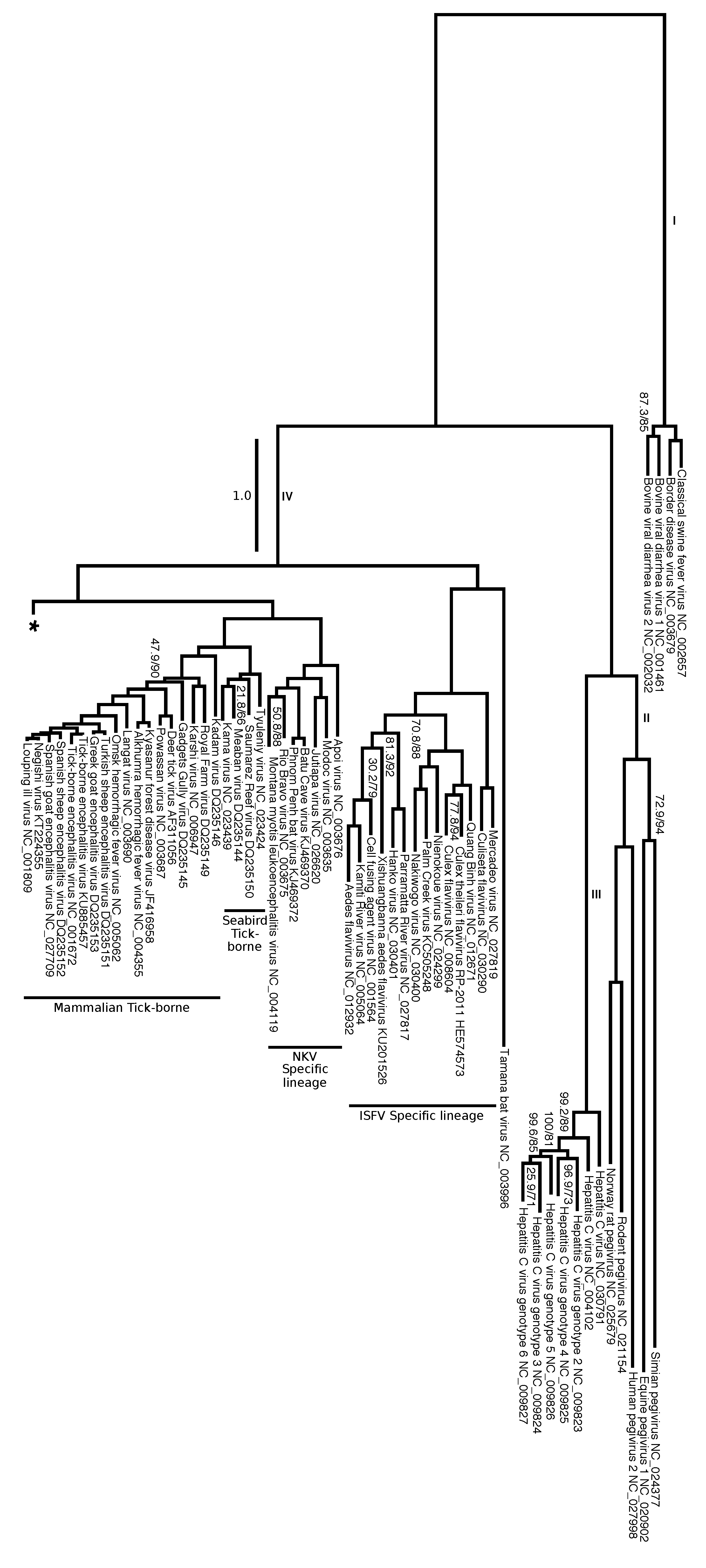 Viruses 12 00892 g008 Viruses 12 00892 g008