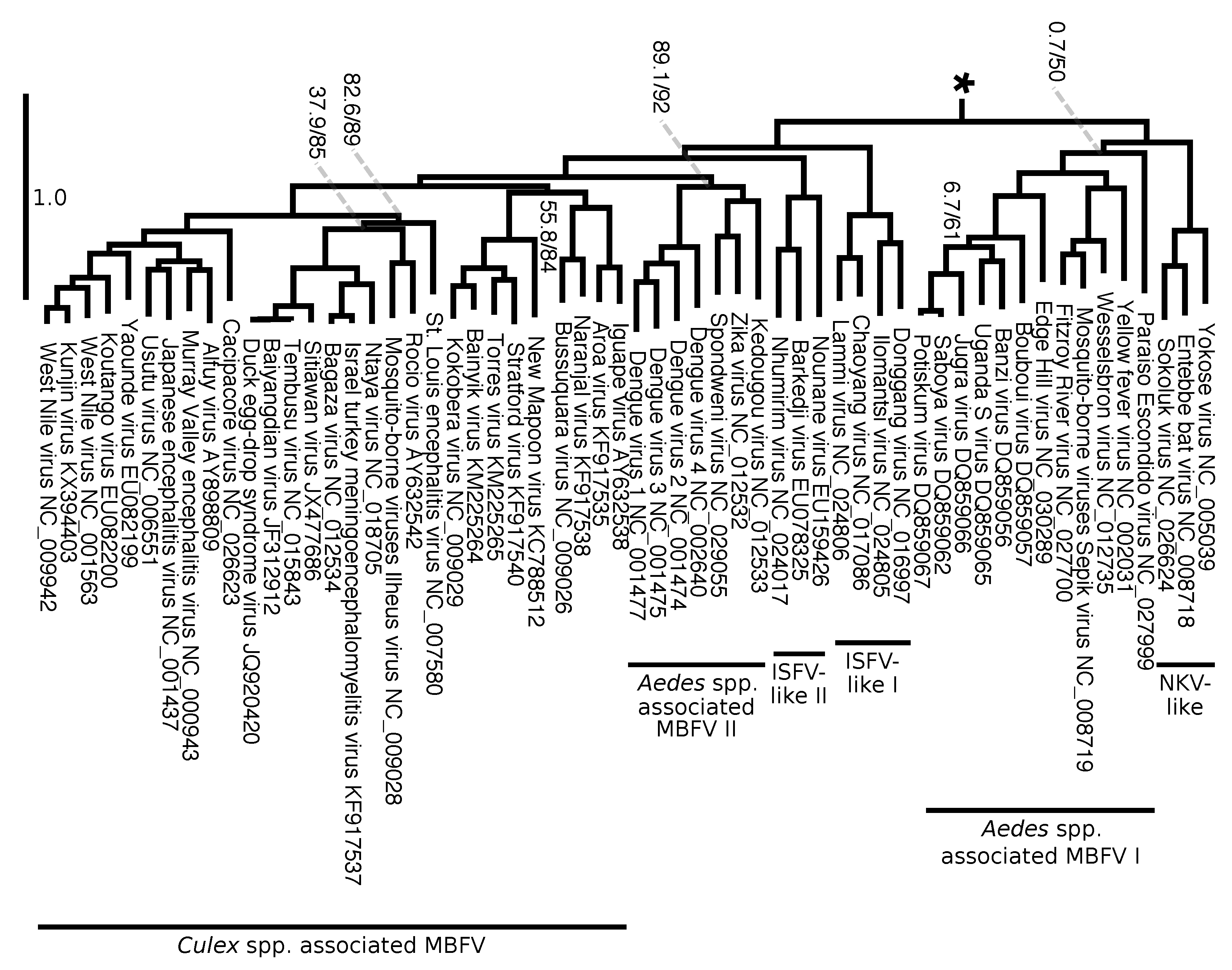 Viruses 12 00892 g009 Viruses 12 00892 g009