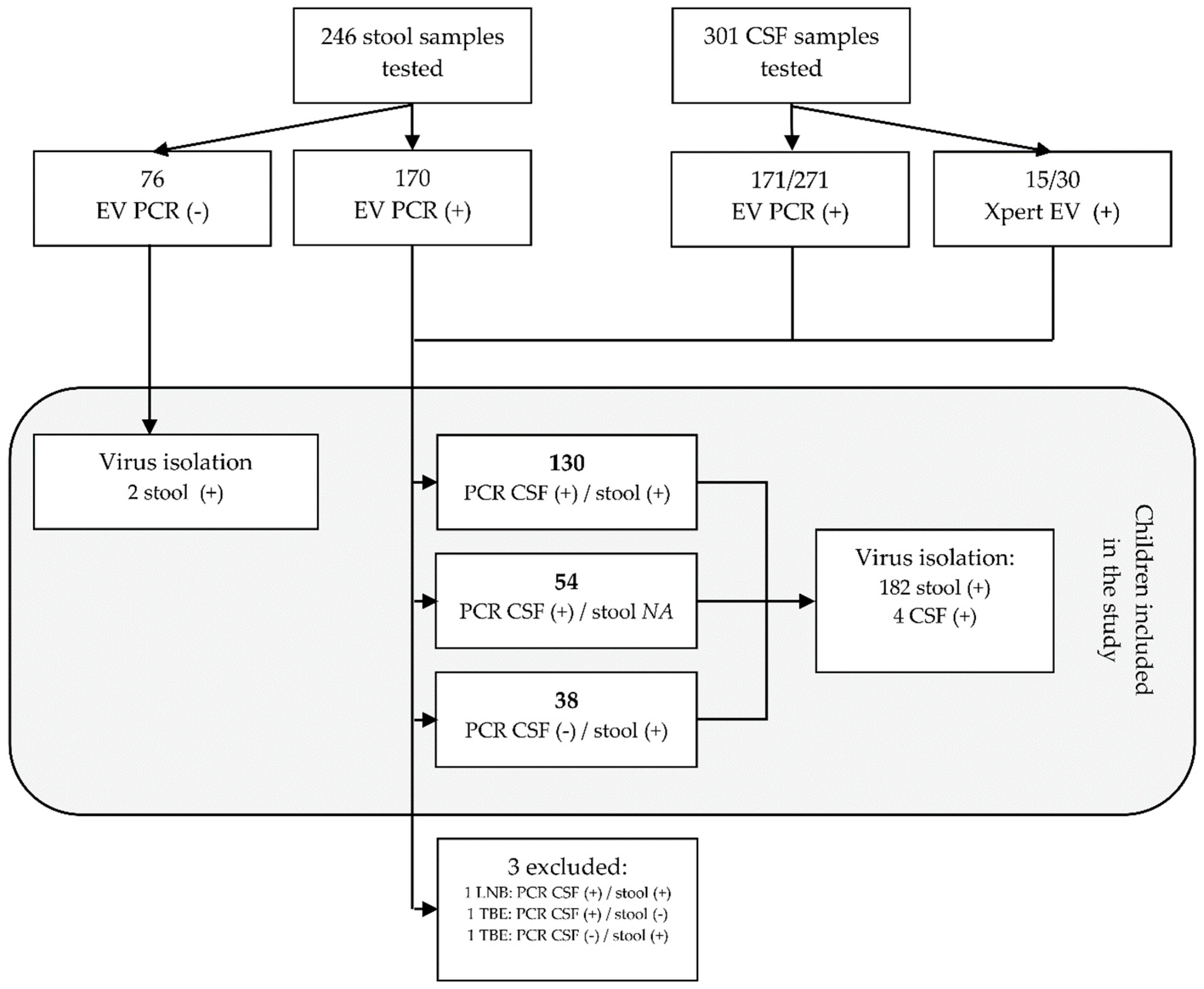 Viruses 12 00893 g001 Viruses 12 00893 g001