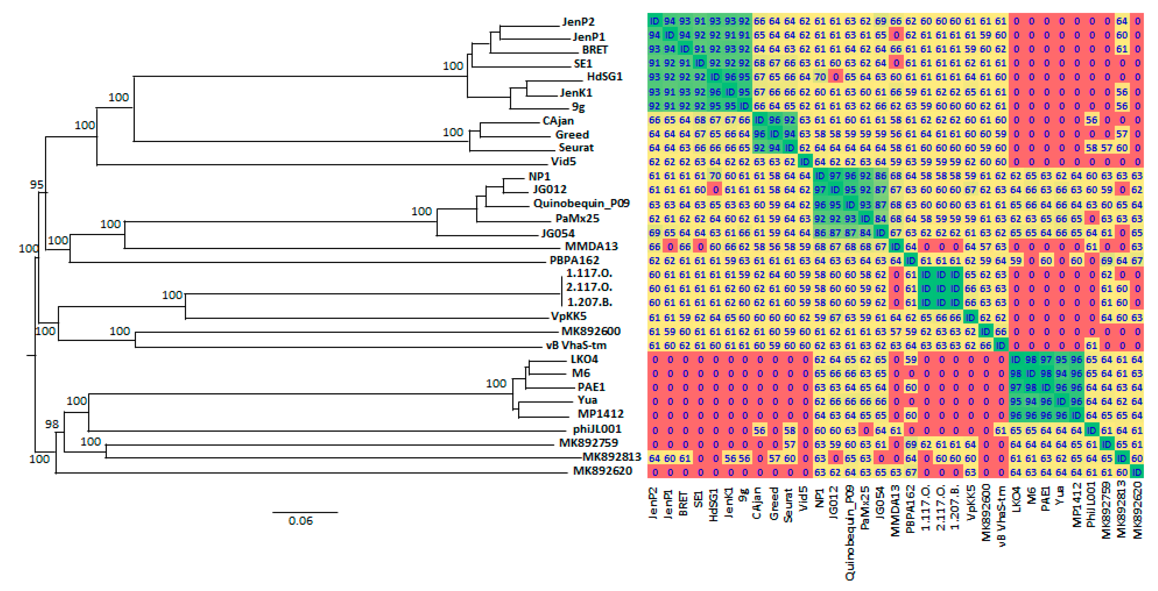 Viruses 12 00894 g007