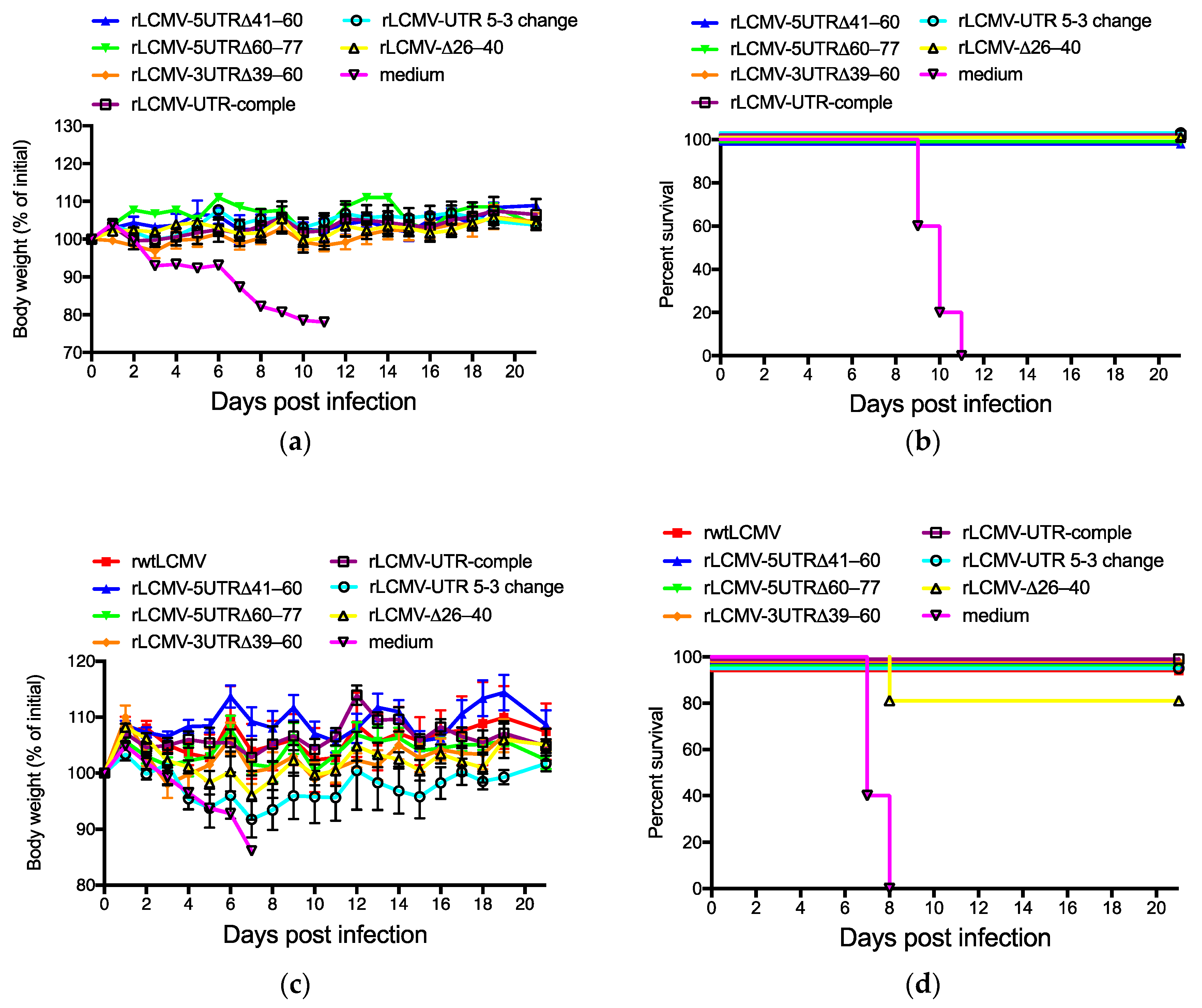 Viruses 12 00896 g005 Viruses 12 00896 g005